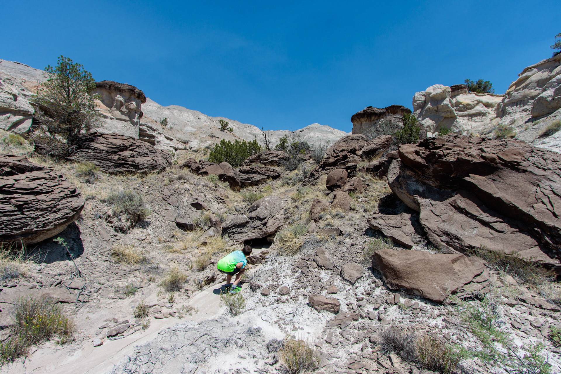 Lybrook Badlands, NM