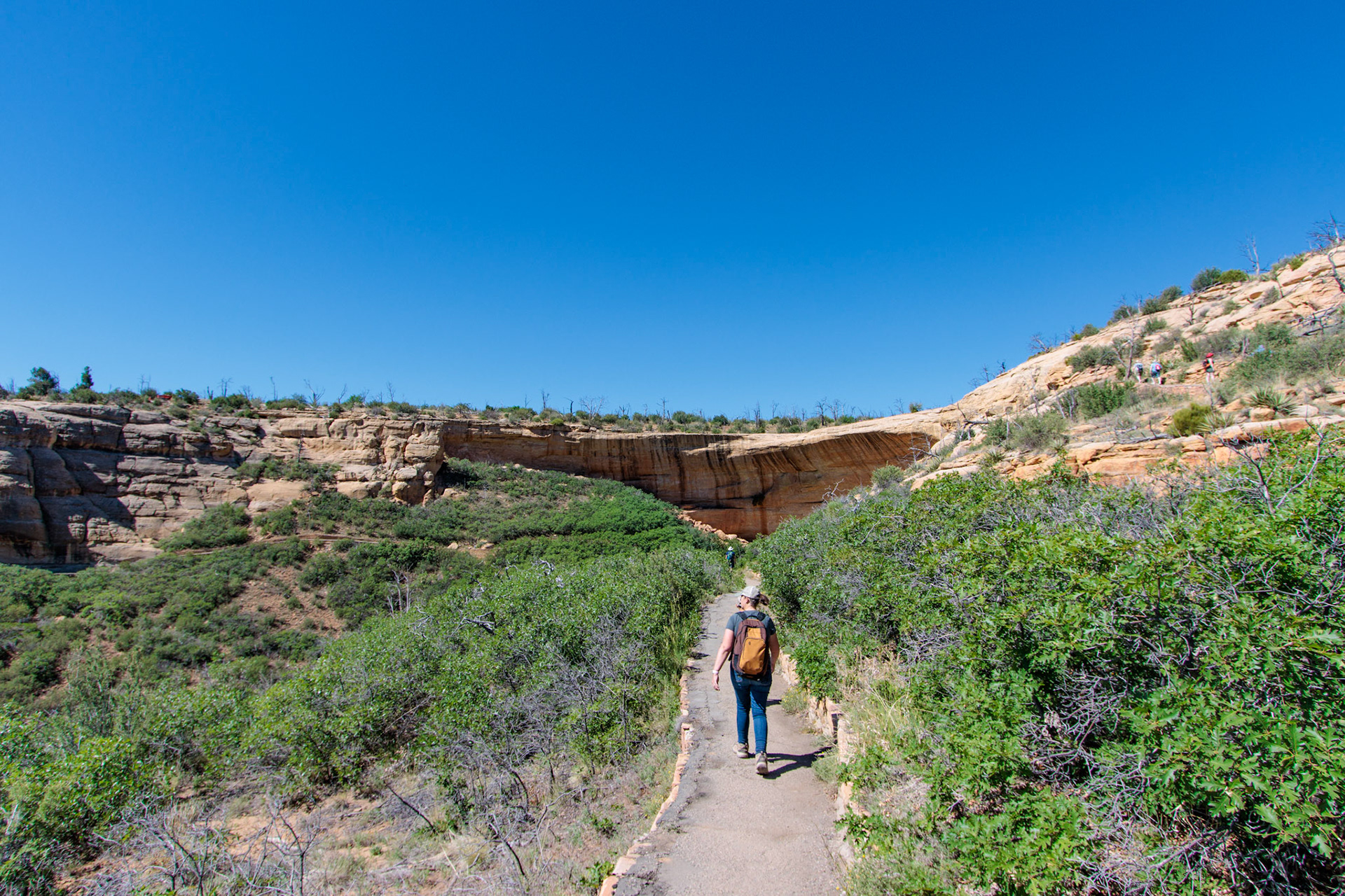 Mesa Verde National Park, CO