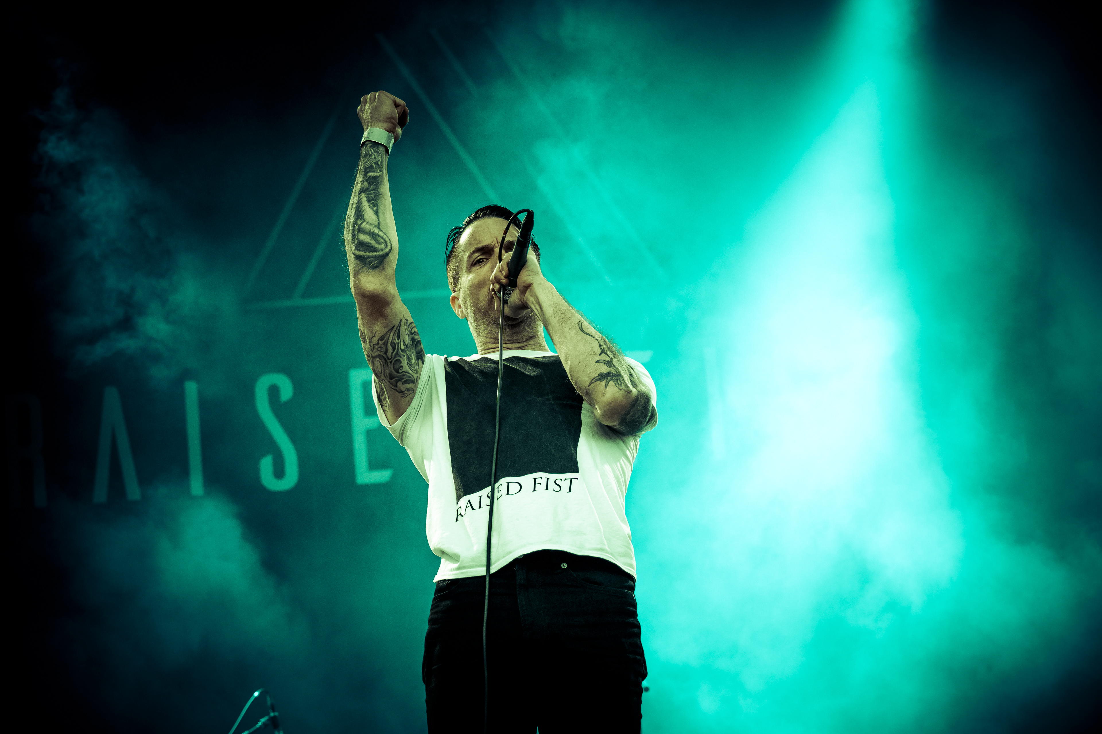 Raised Fist