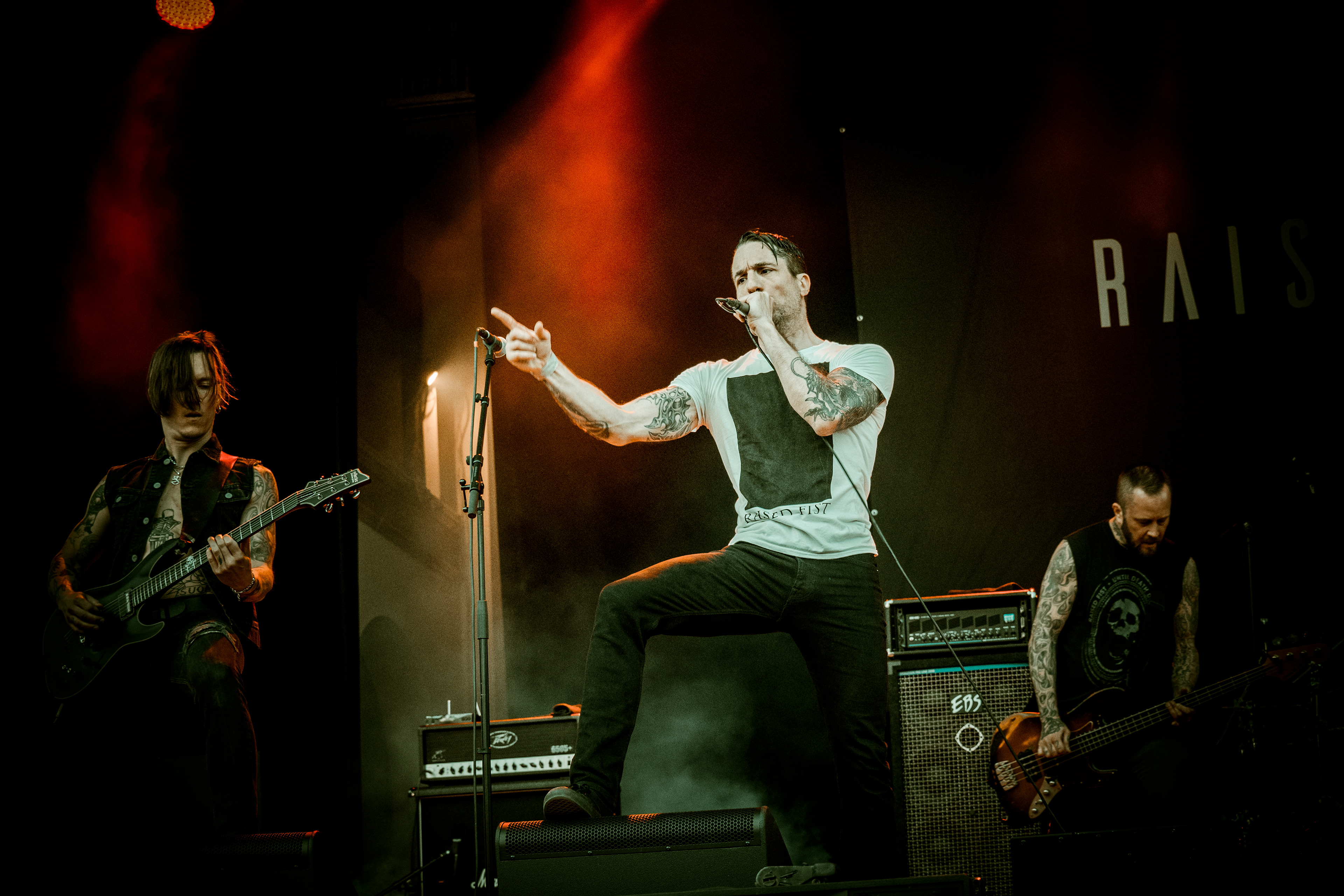 Raised Fist