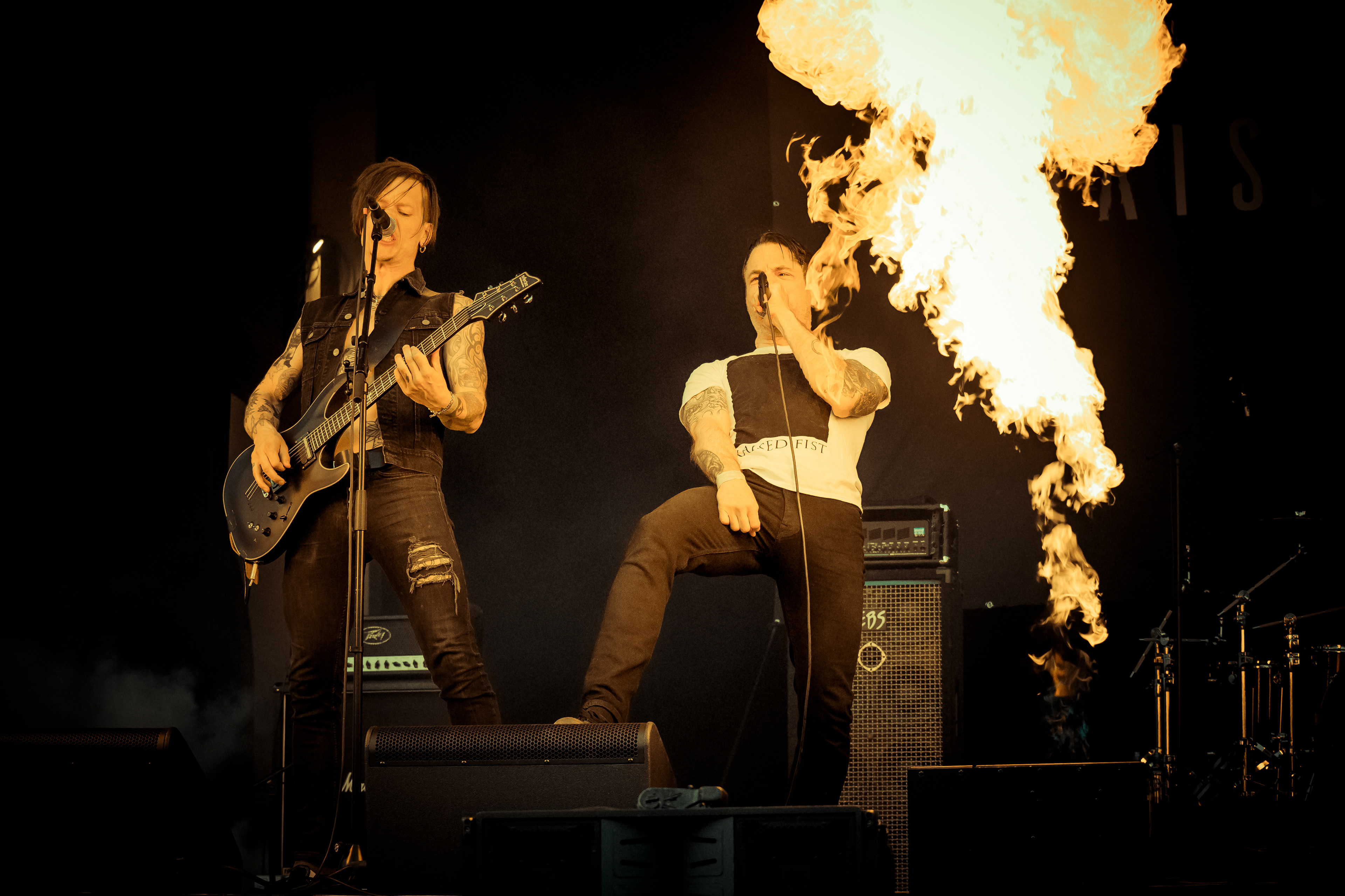 Raised Fist