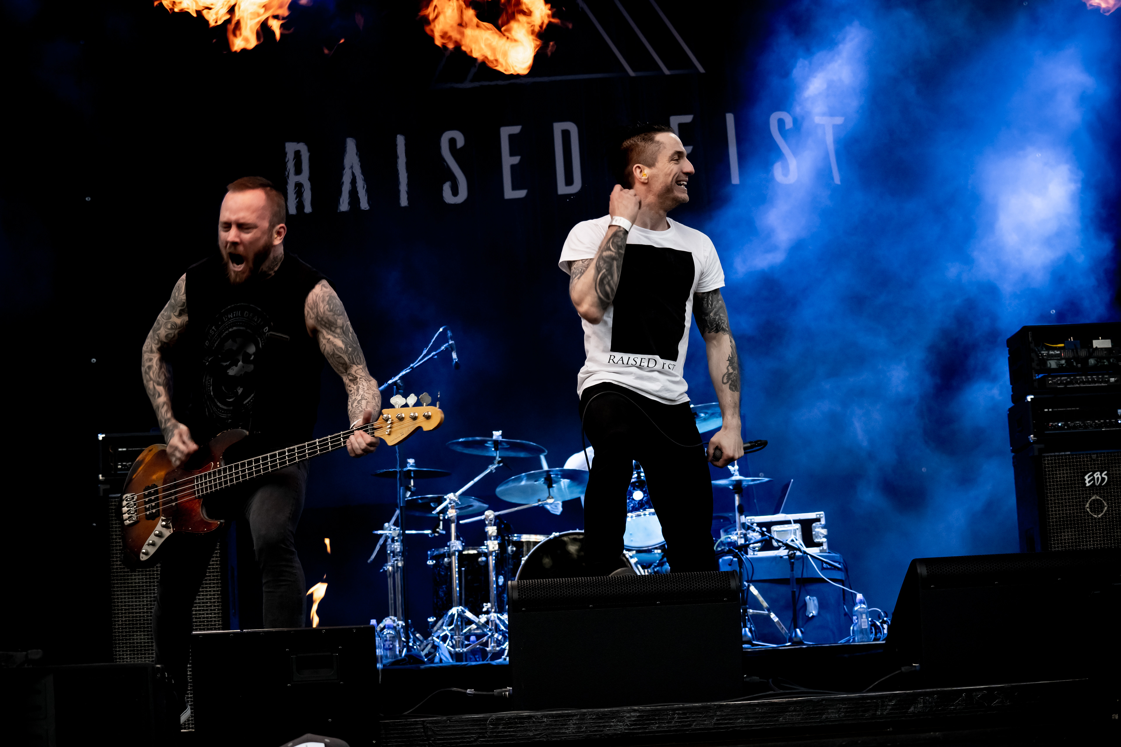 Raised Fist