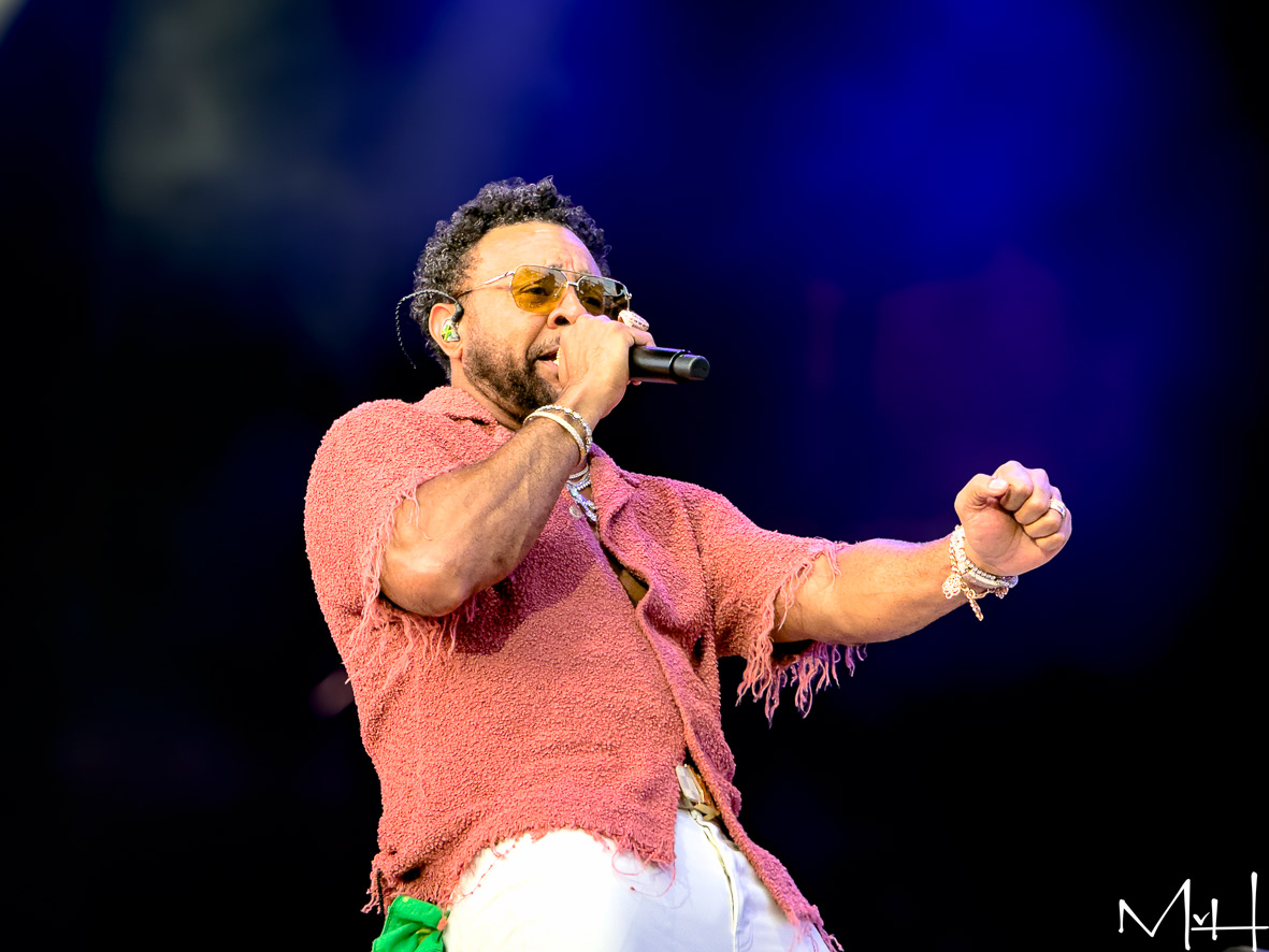 Shaggy
