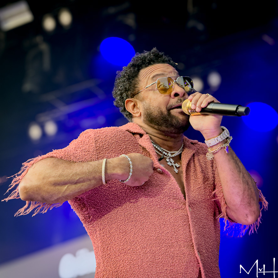 Shaggy
