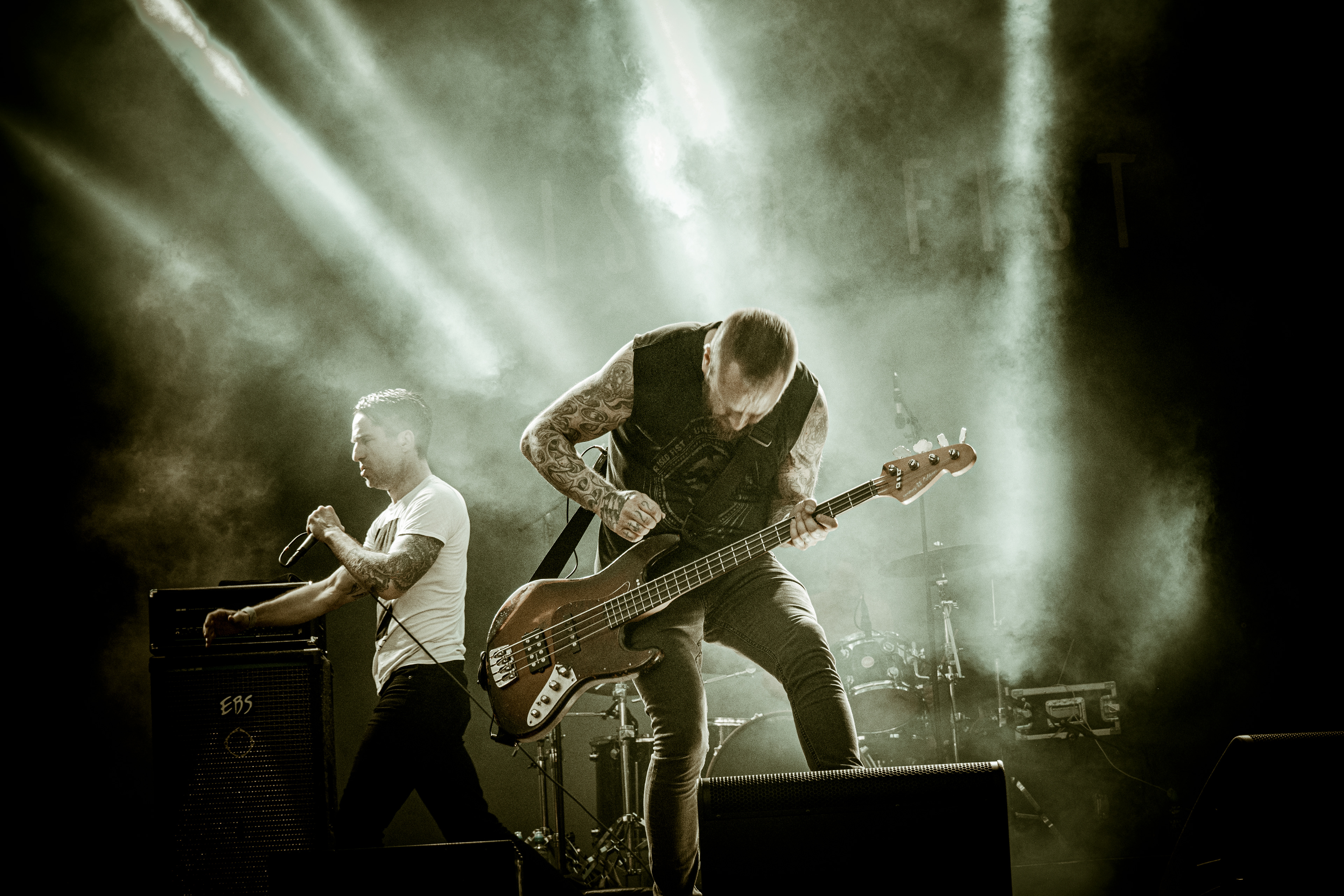 Raised Fist