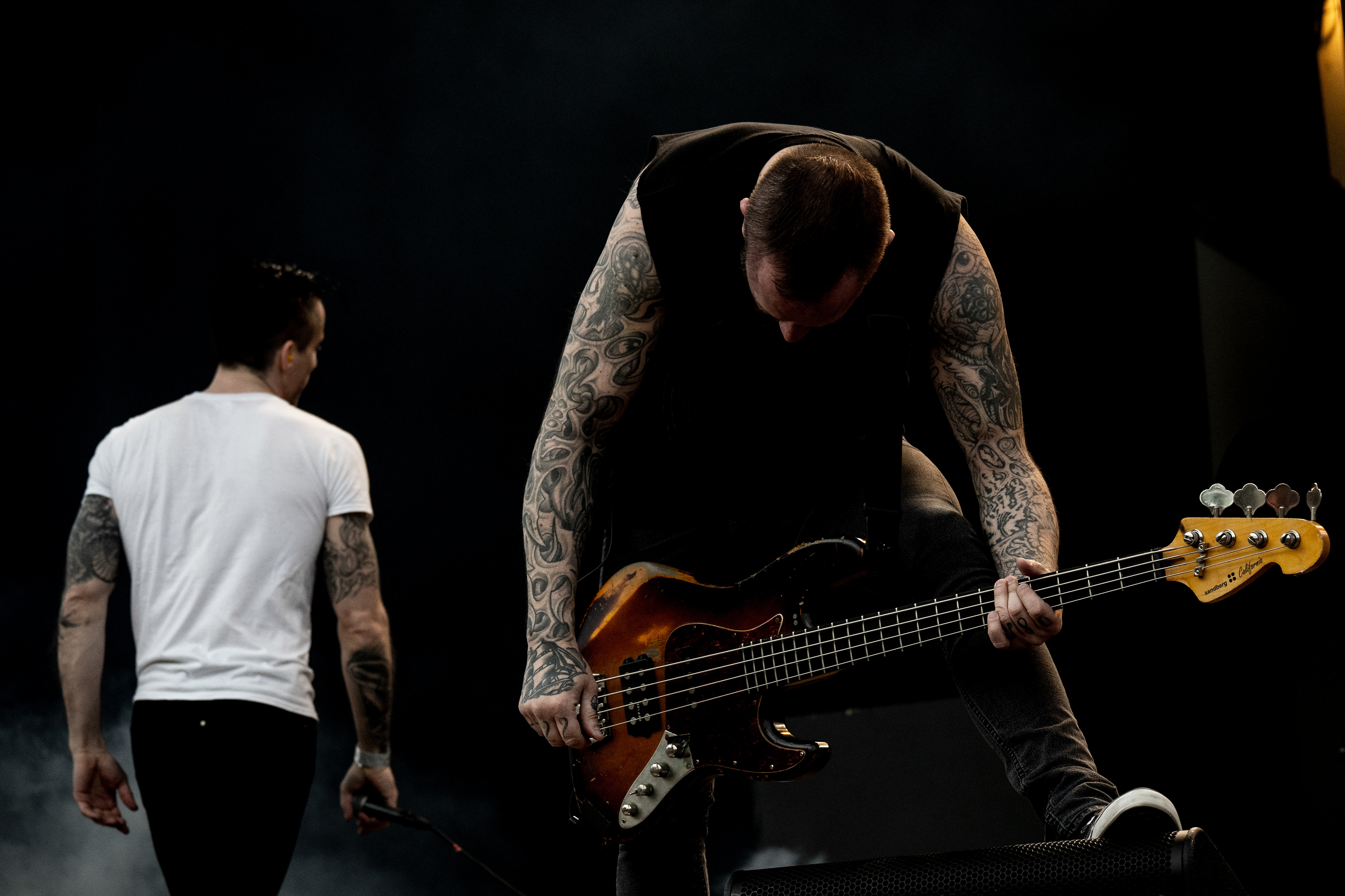 Raised Fist