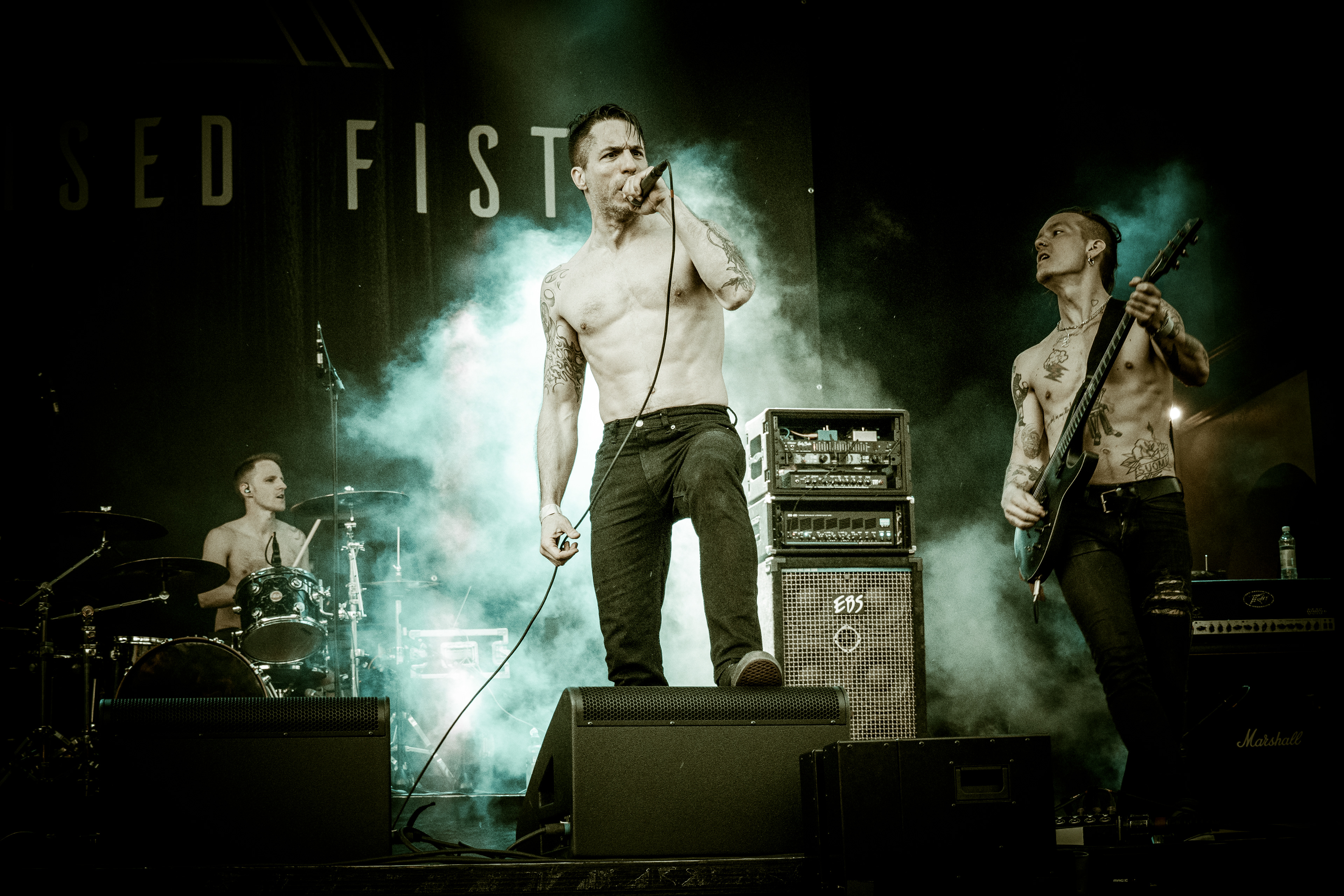 Raised Fist