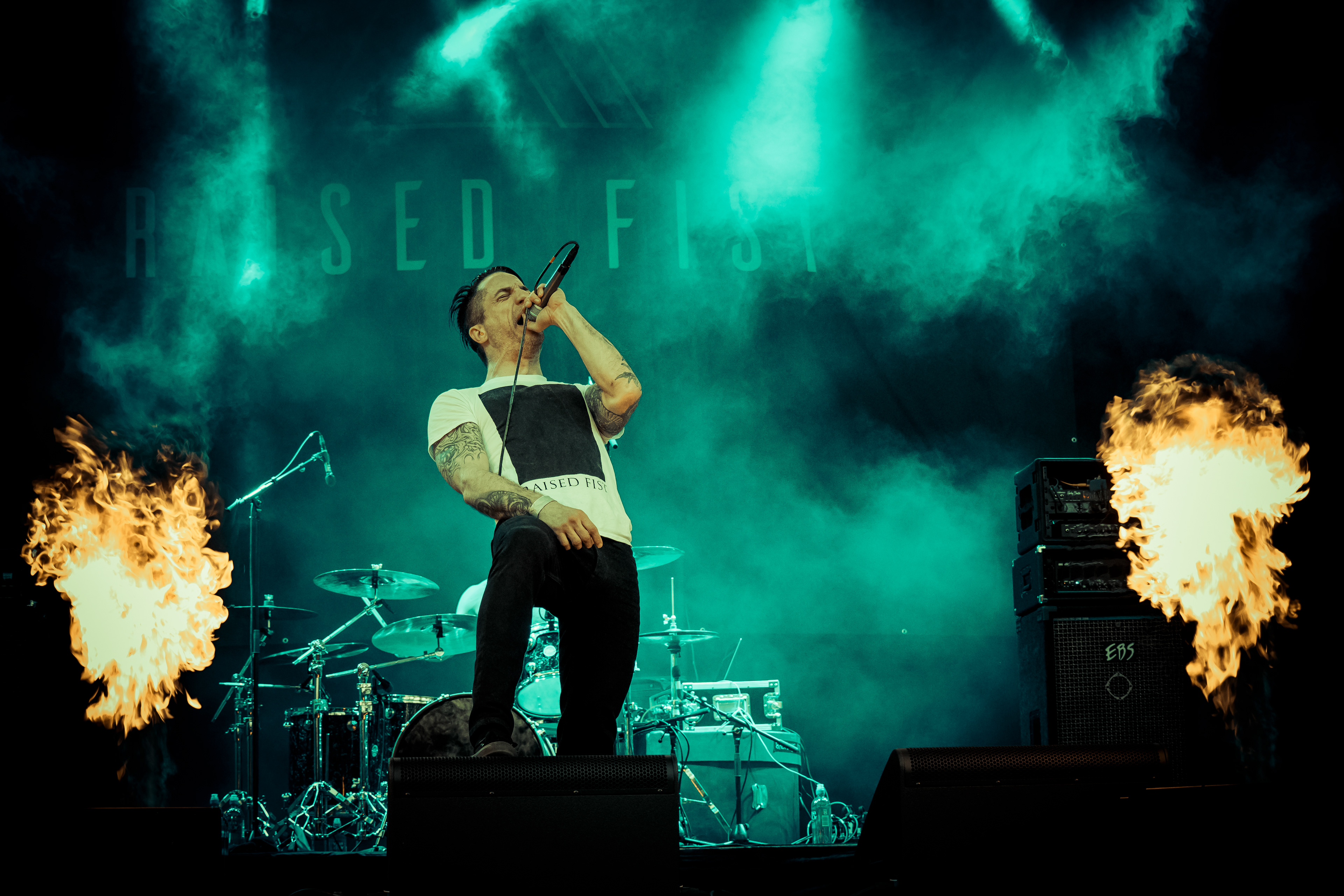 Raised Fist