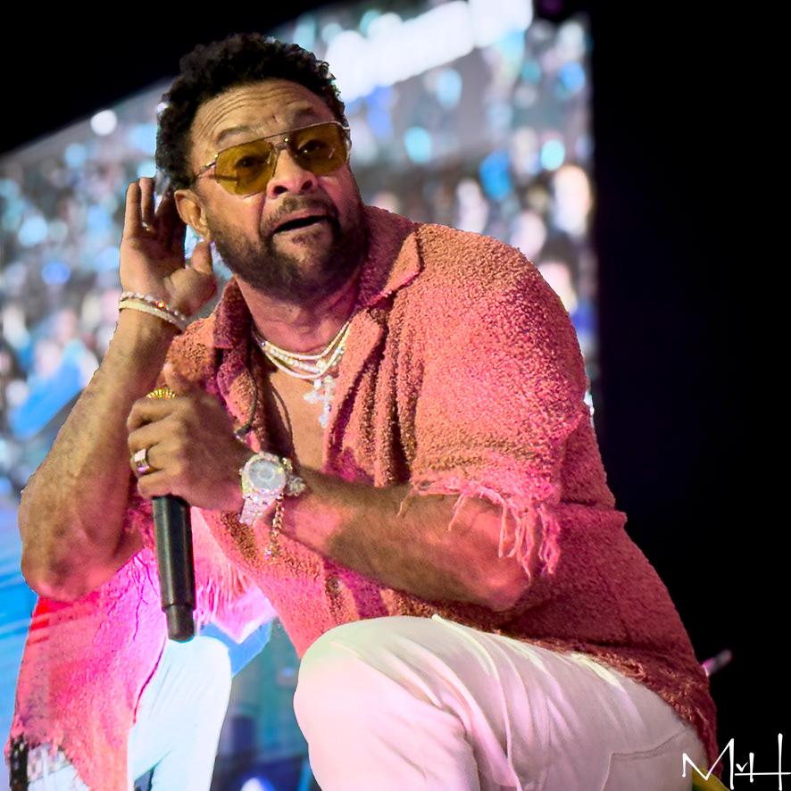 Shaggy