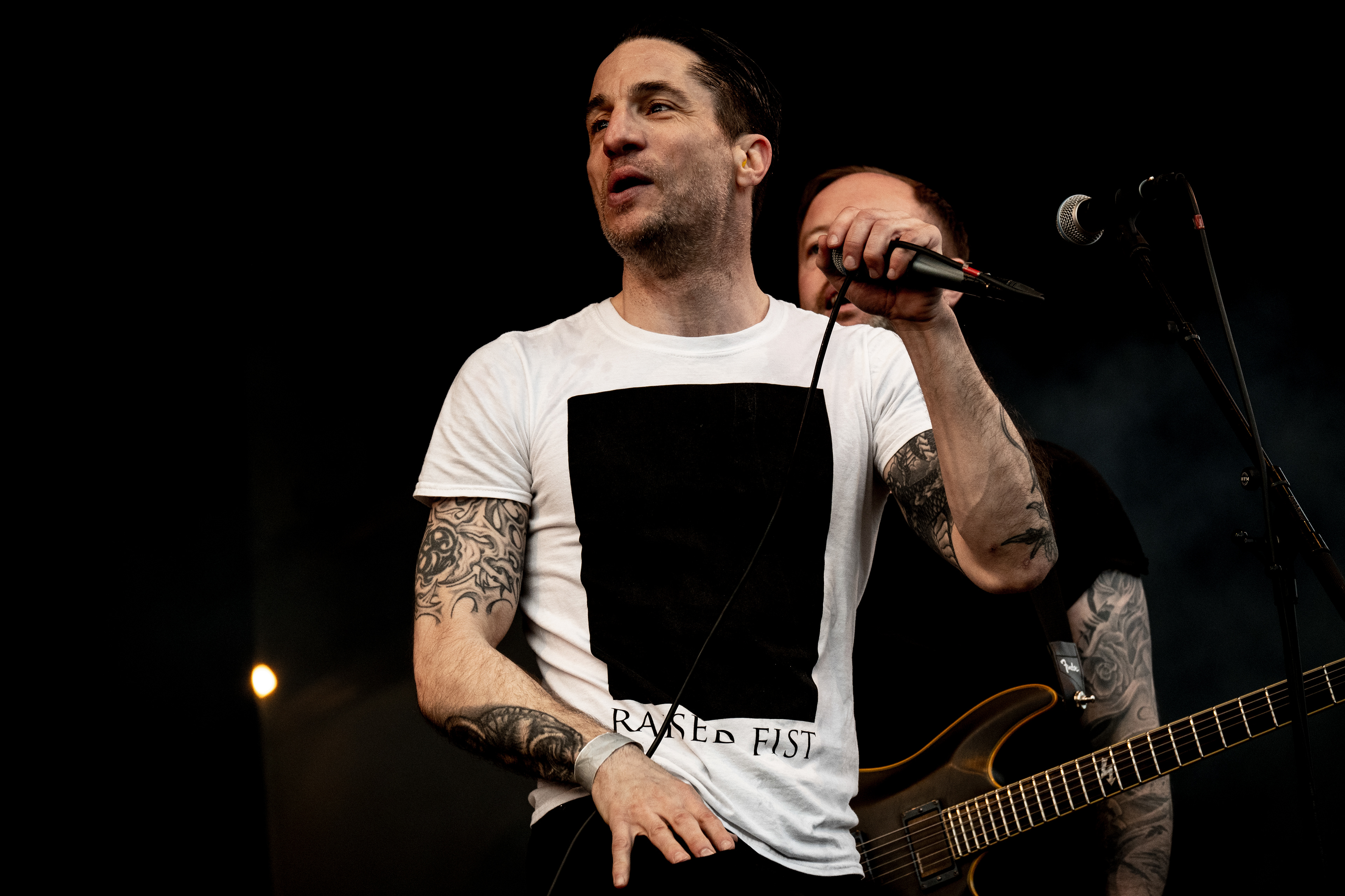 Raised Fist