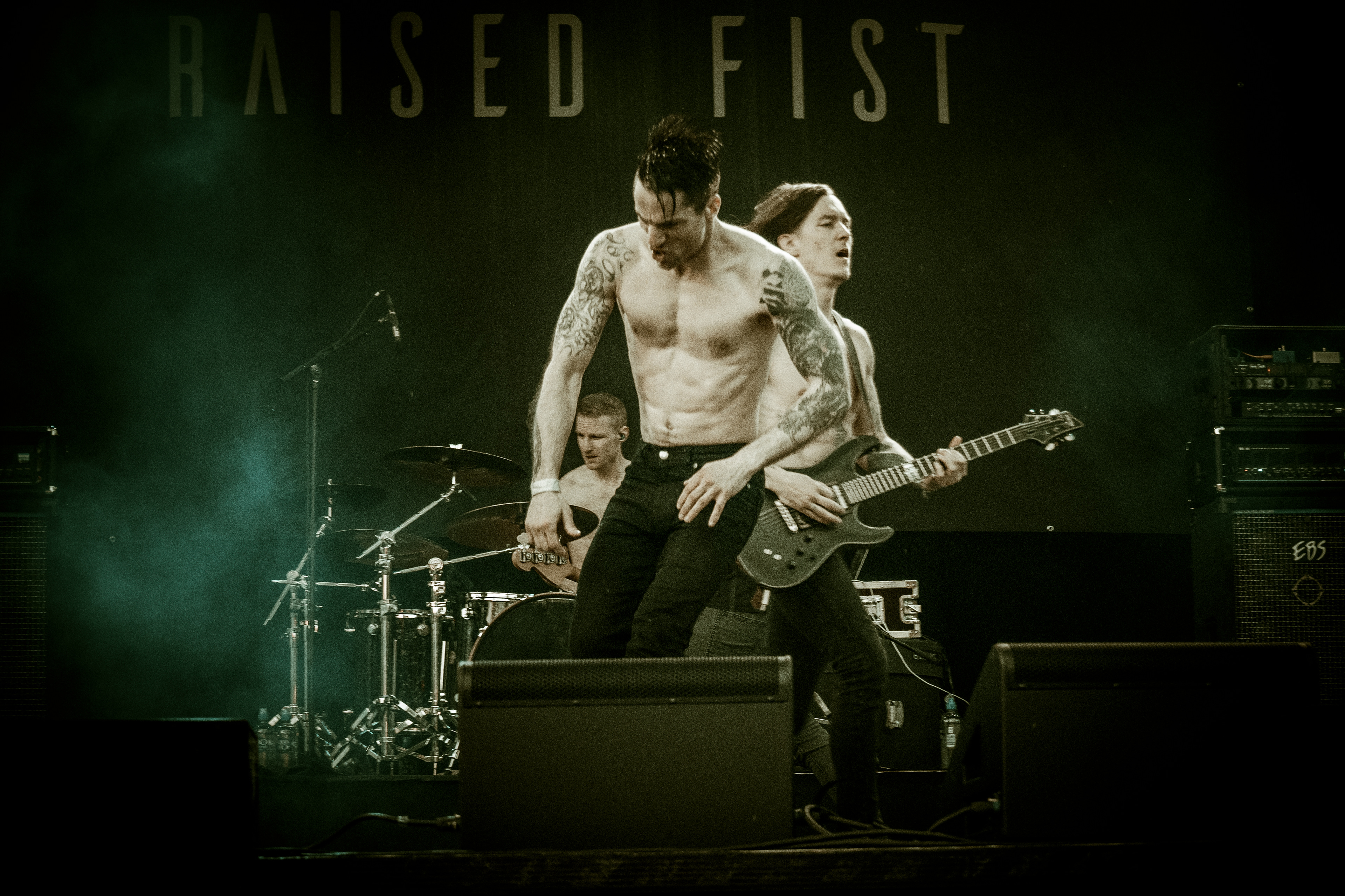 Raised Fist