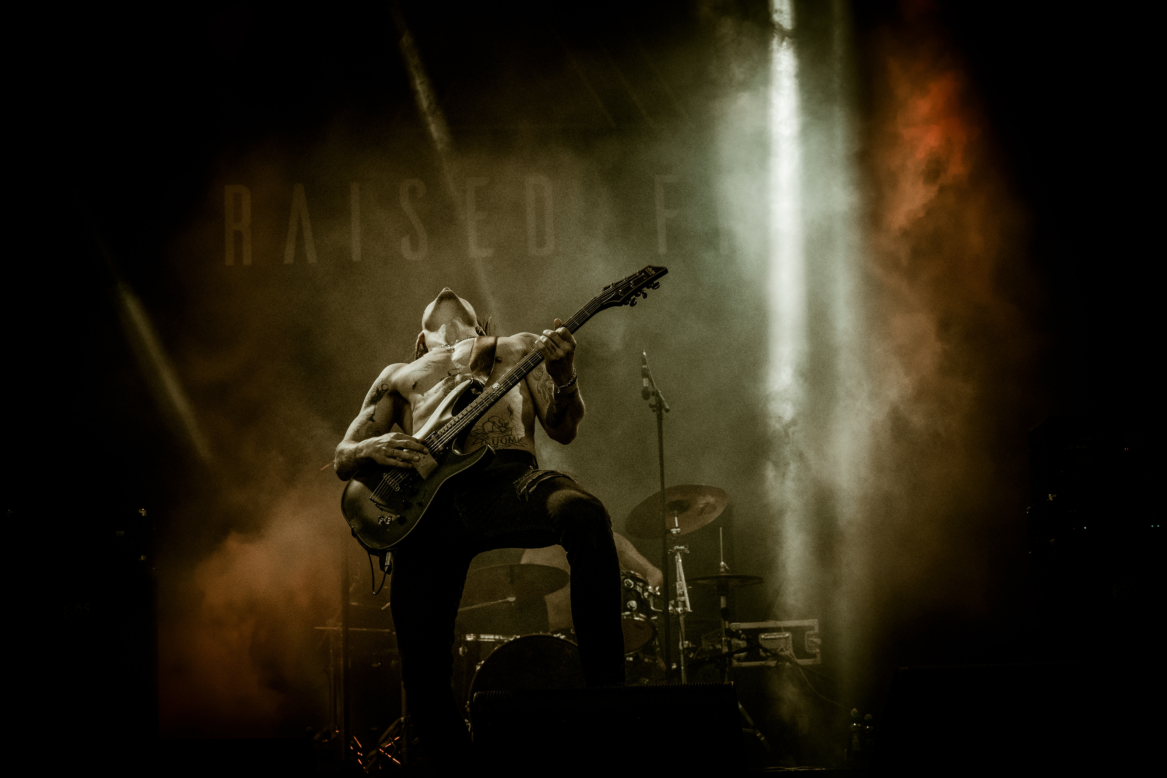 Raised Fist