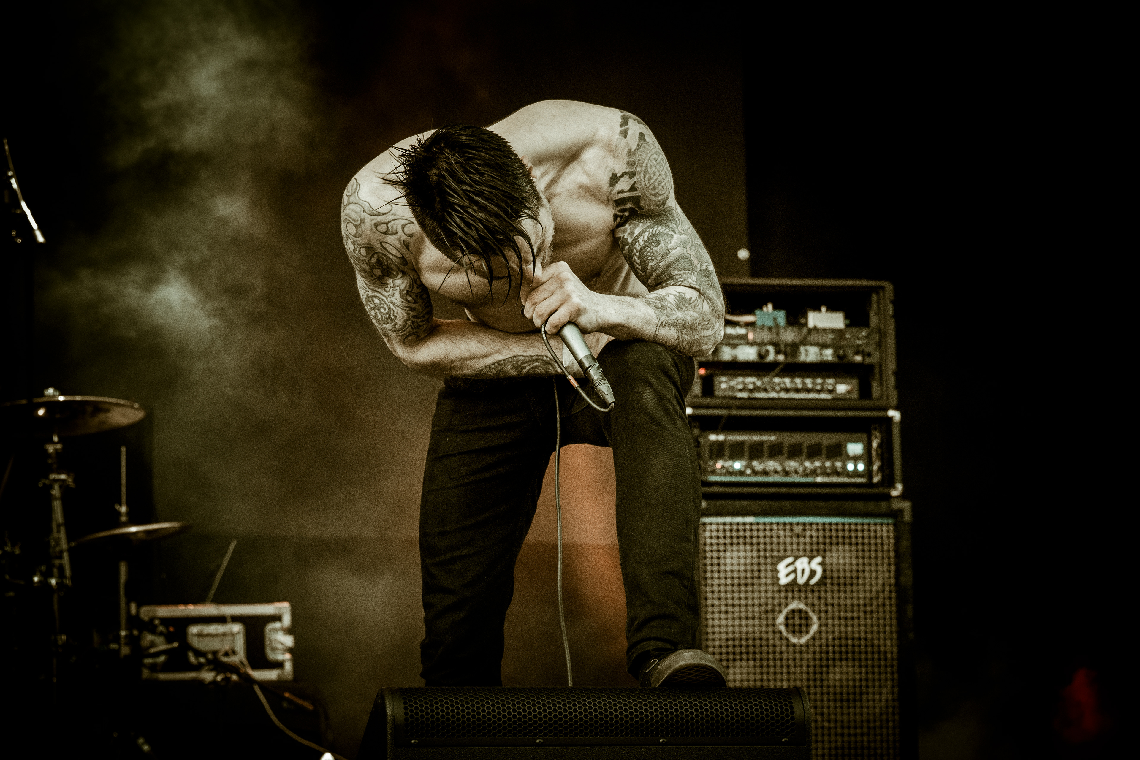Raised Fist