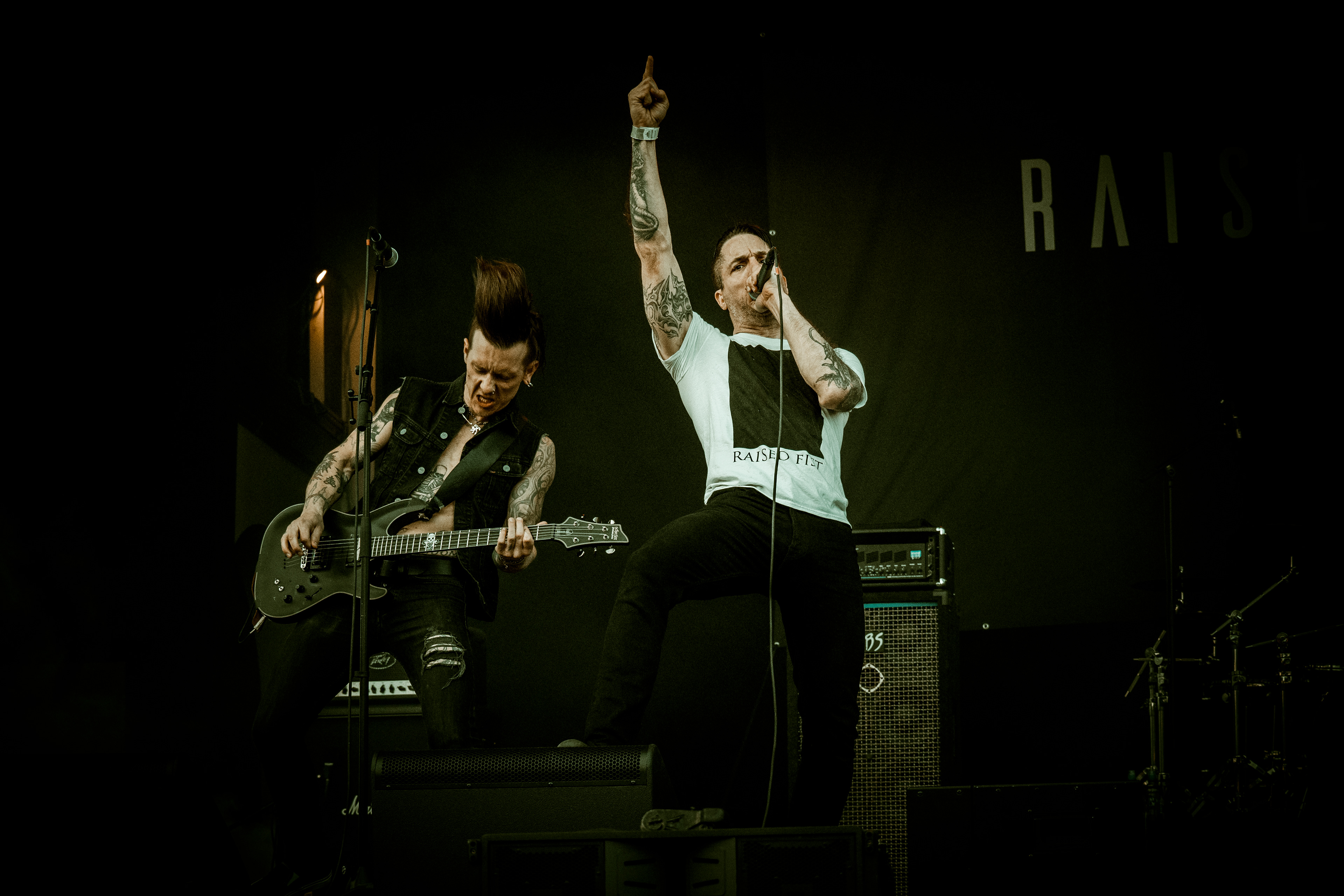 Raised Fist