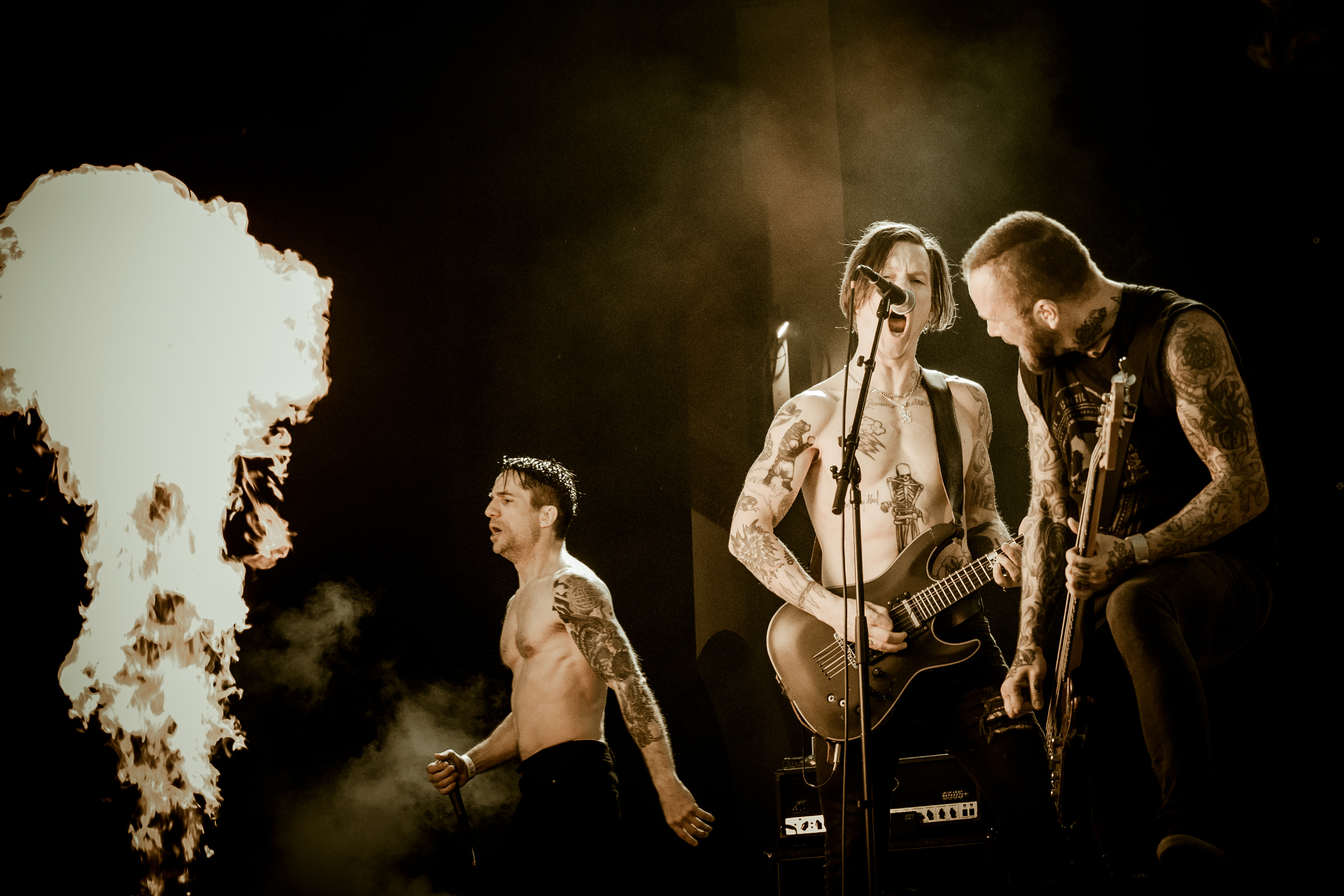 Raised Fist