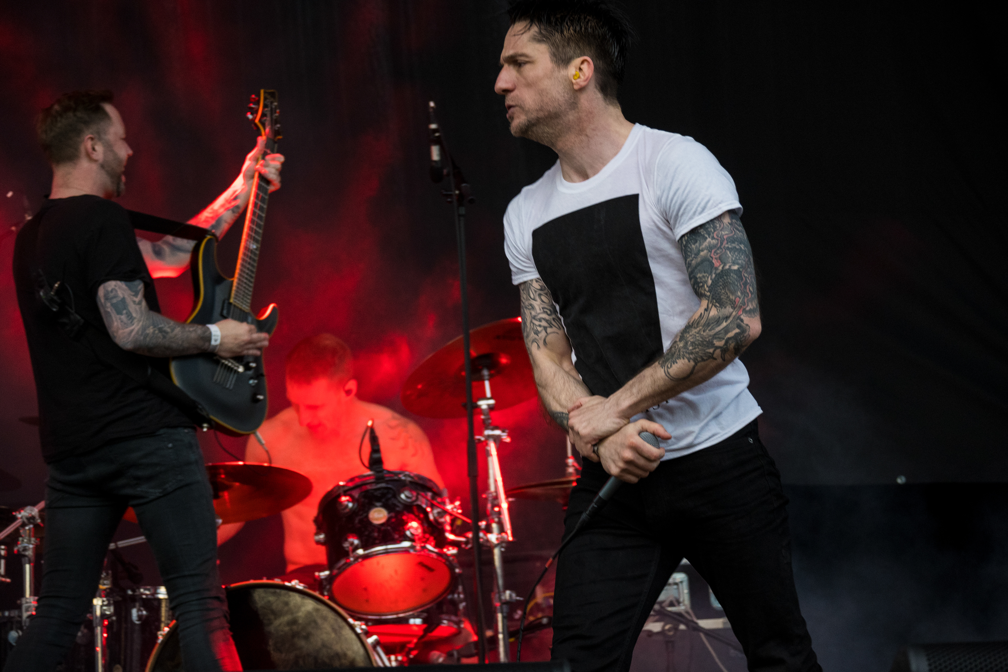 Raised Fist