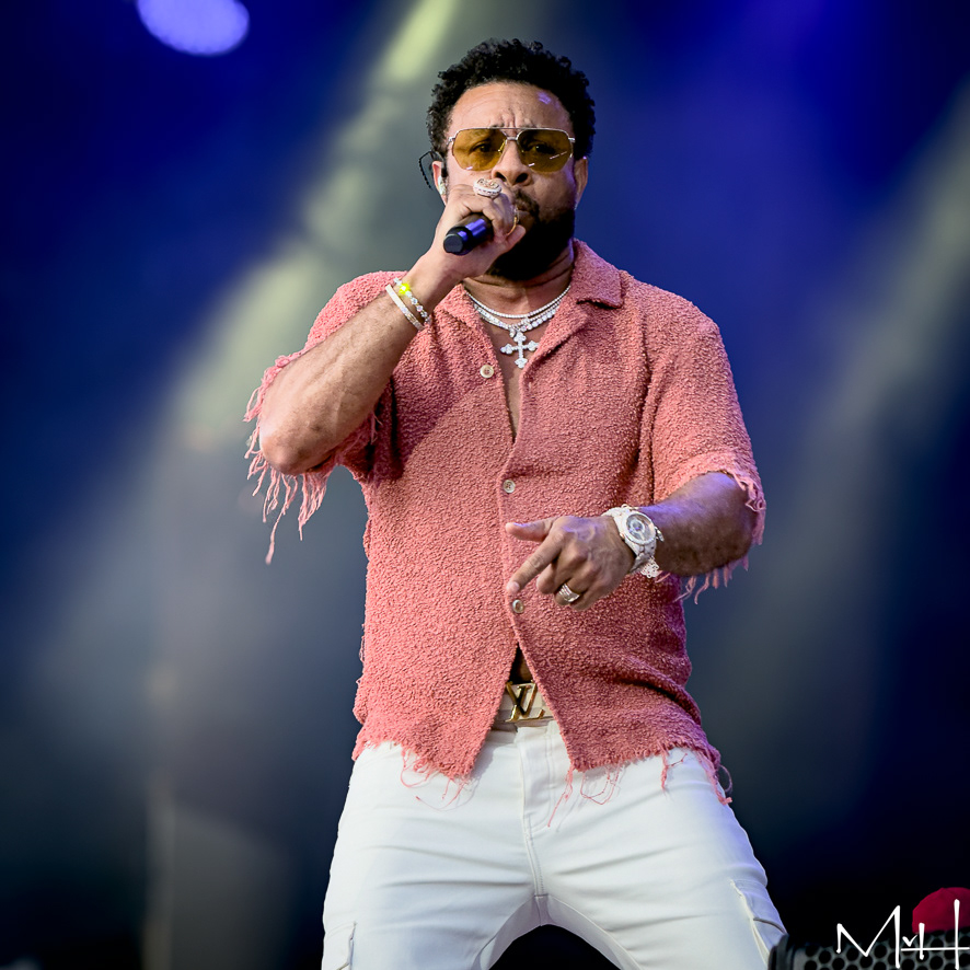 Shaggy