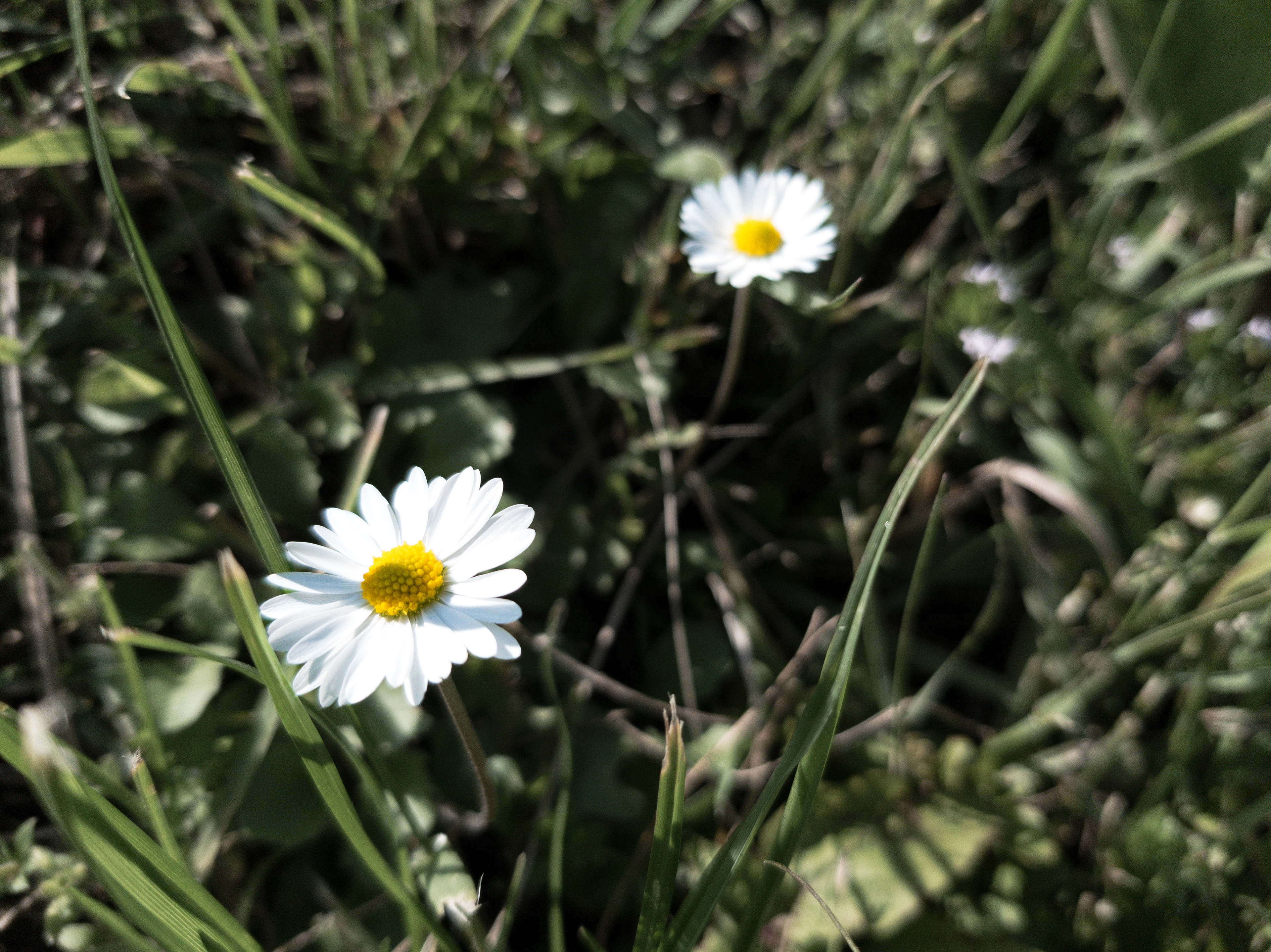 Samsung S8 - Kapetan Misin Breg, Serbia - 2019