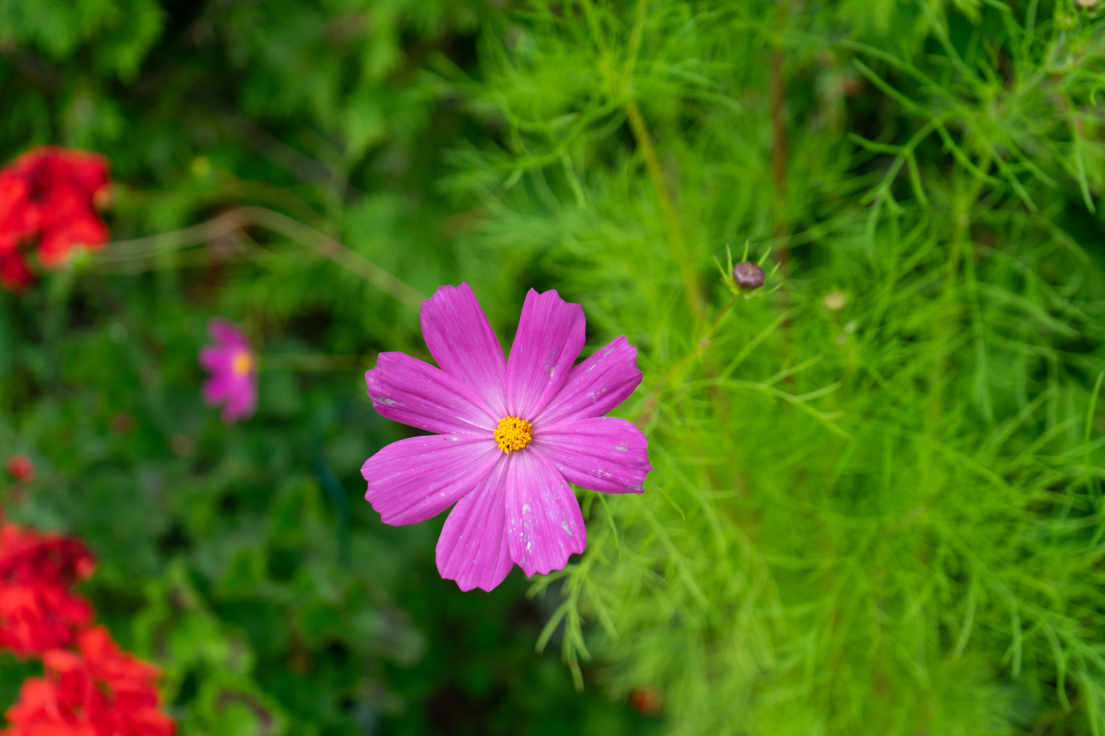 Sony A7ii - Lion's Head, Ontario - 2023