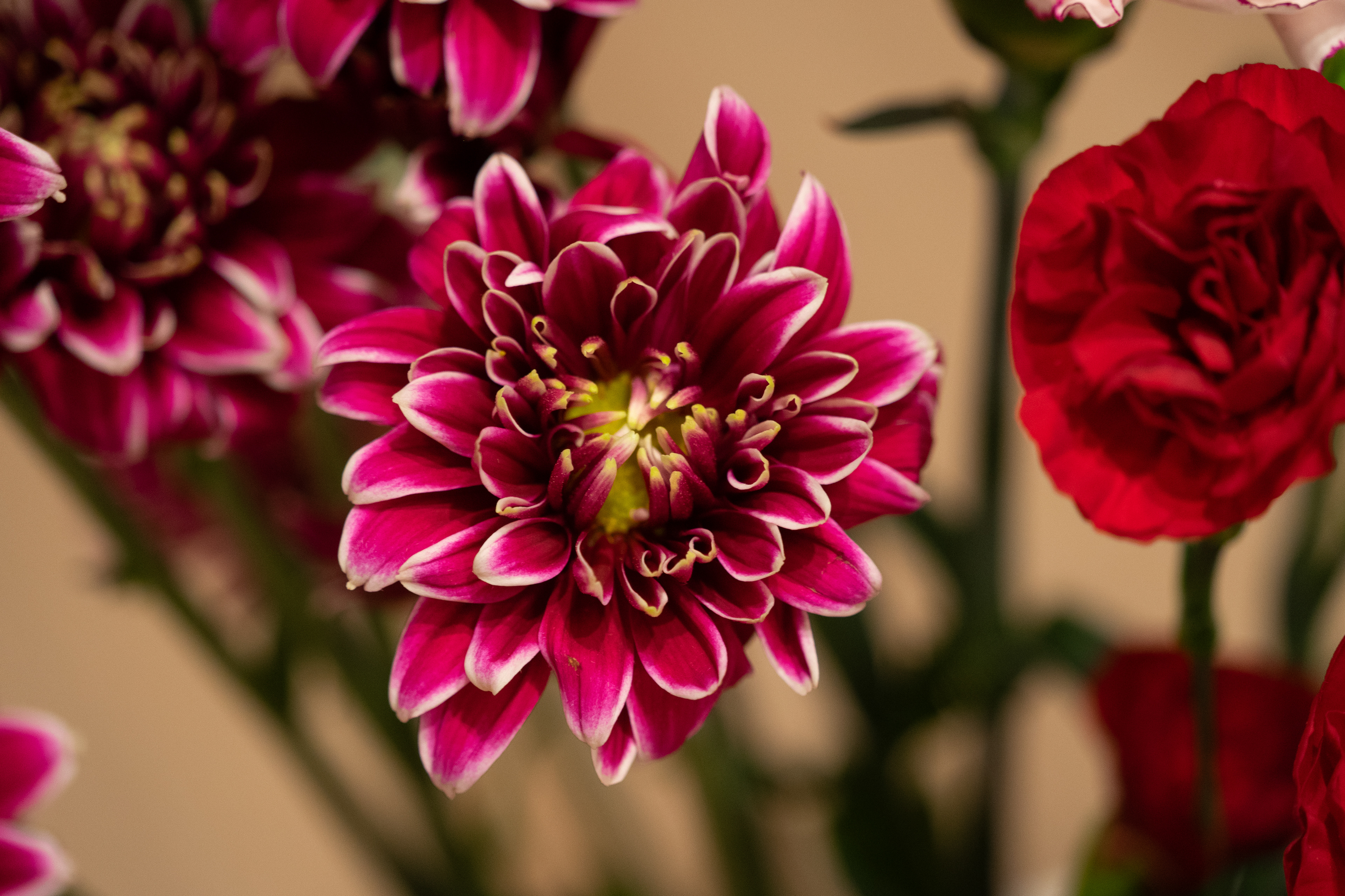 Sony A7ii - Toronto - 2023