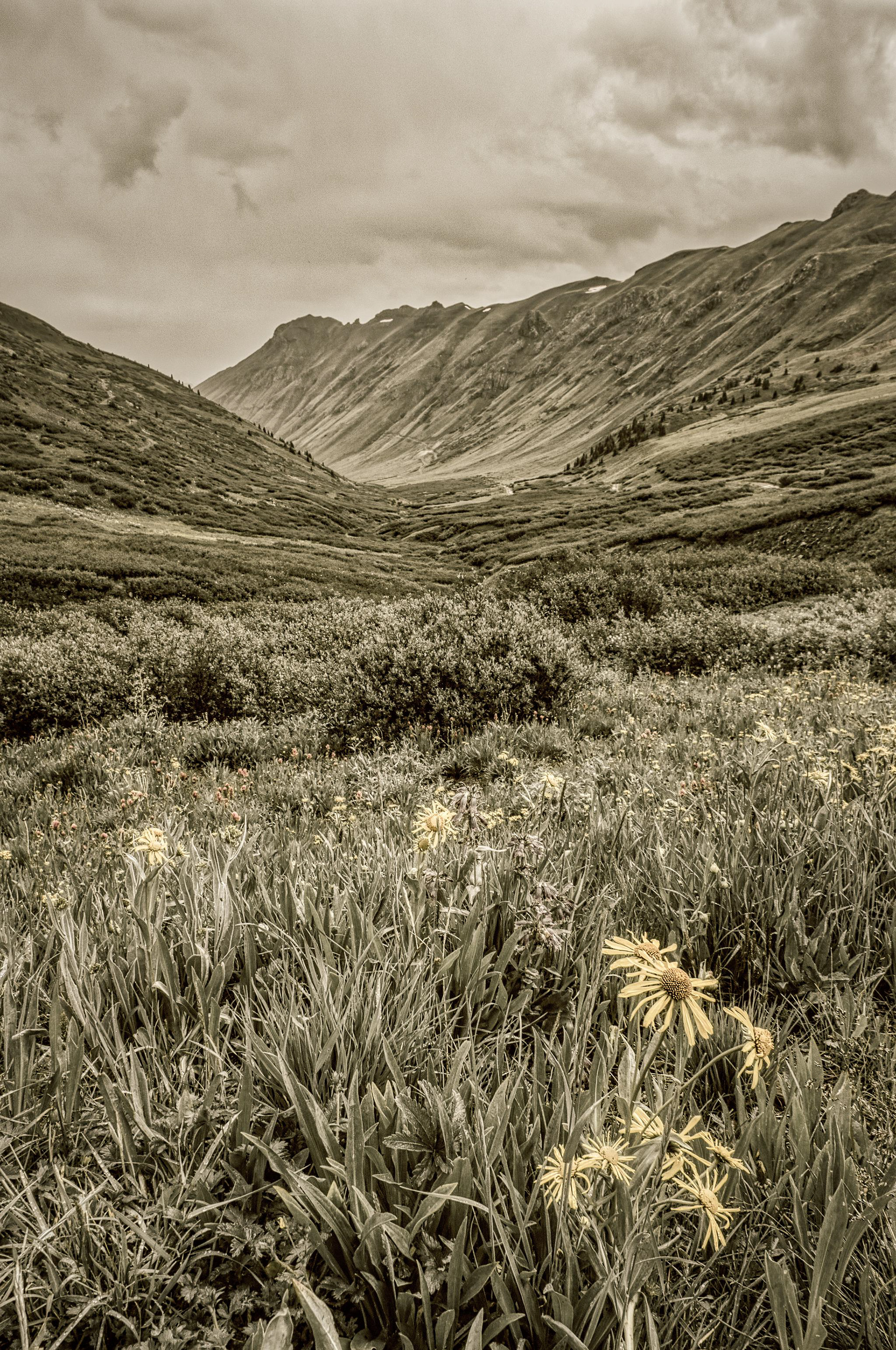 Maggie Gulch - Silverton, Colorado, USA