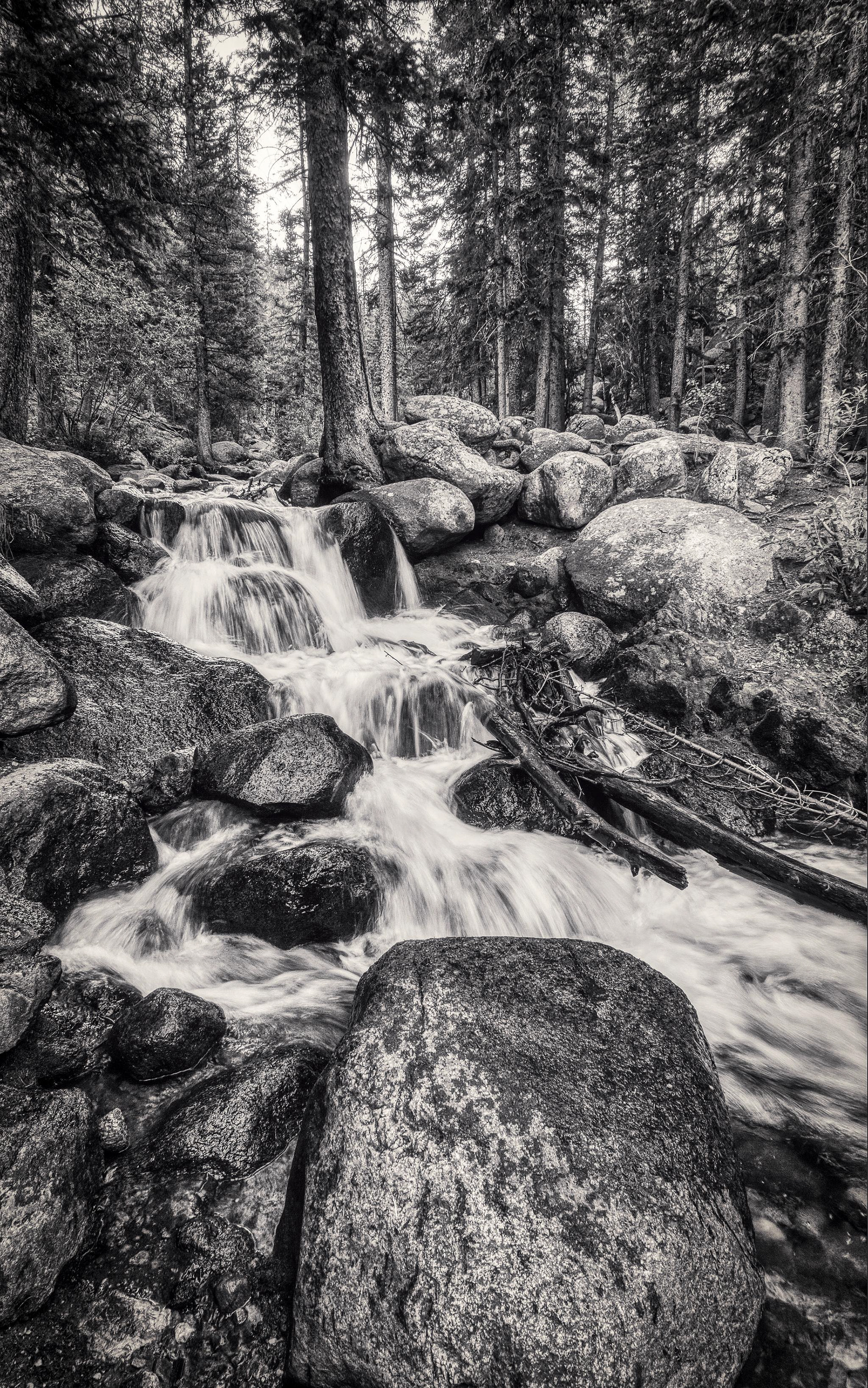 Rocky Mountain National Park - Colorado, USA