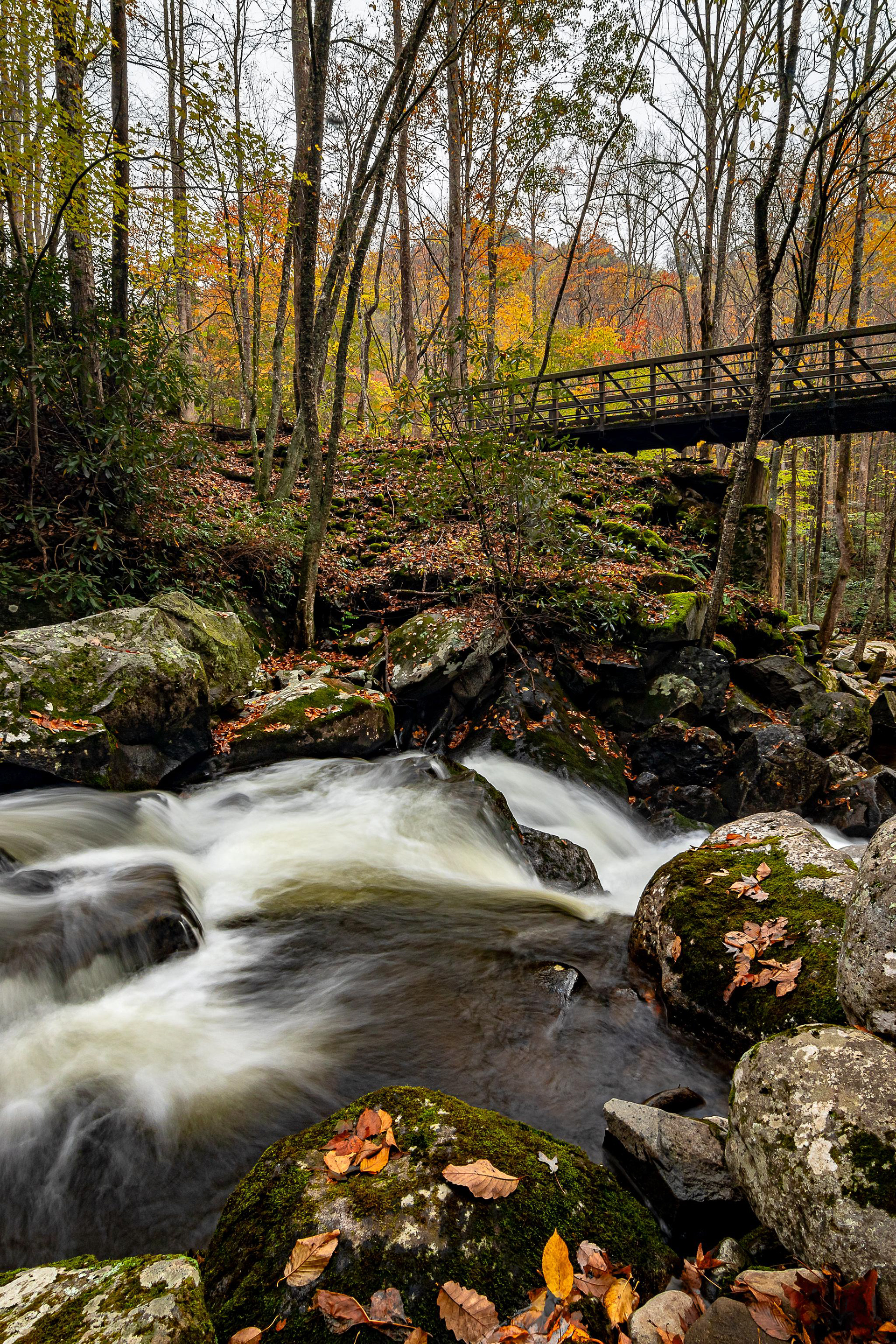 Smoky Mountain National Park - ﻿Tennessee, USA