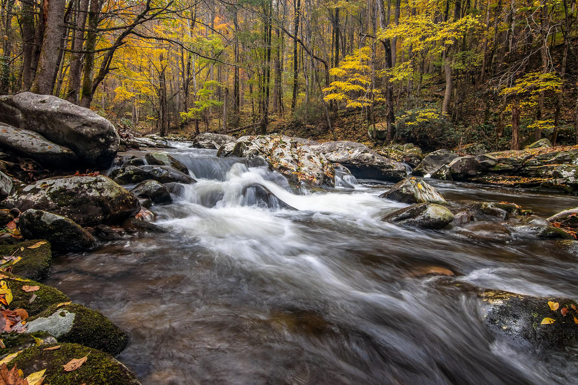 Smoky Mountain National Park - ﻿Tennessee, USA