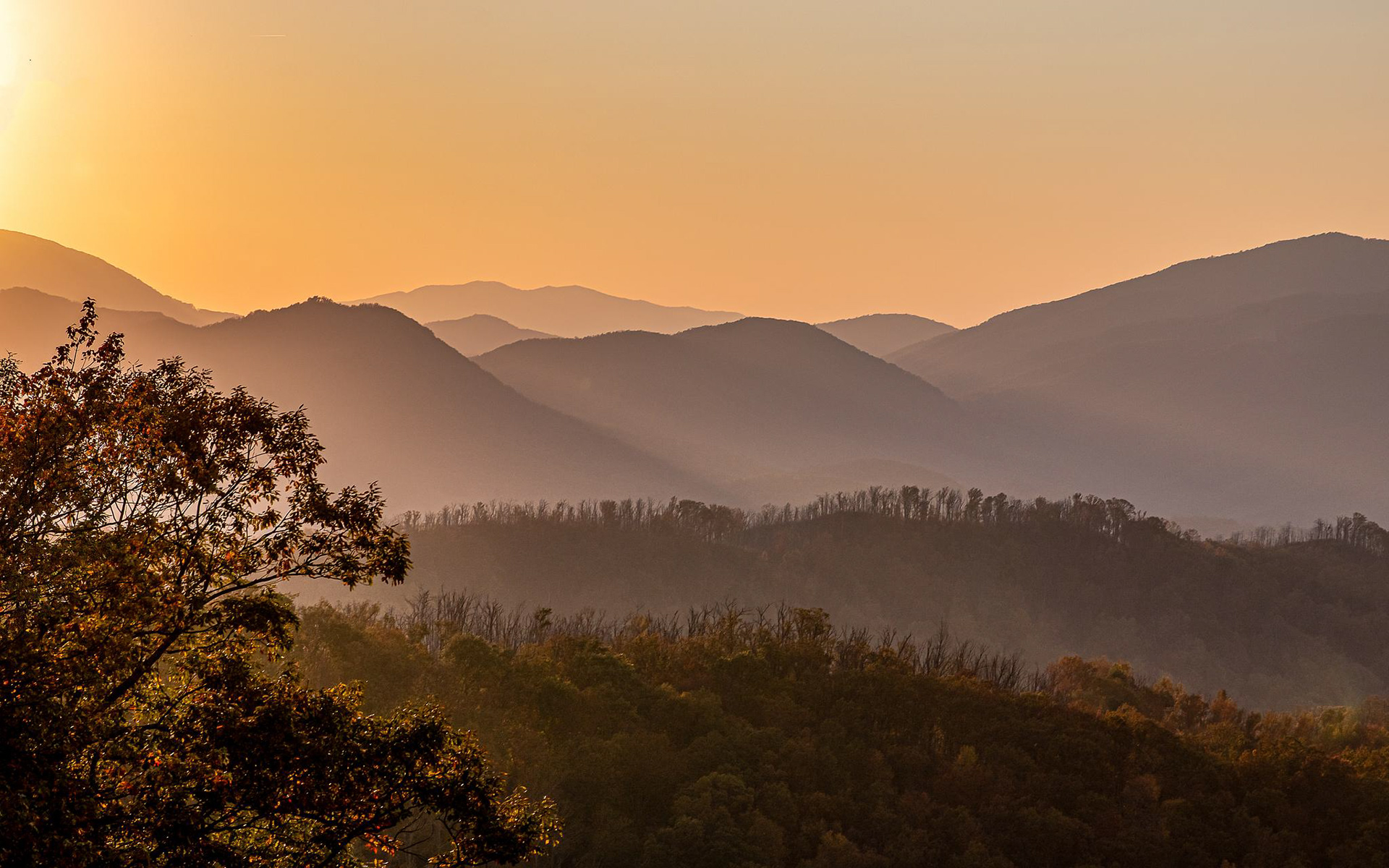 Smoky Mountain National Park - ﻿Tennessee, USA