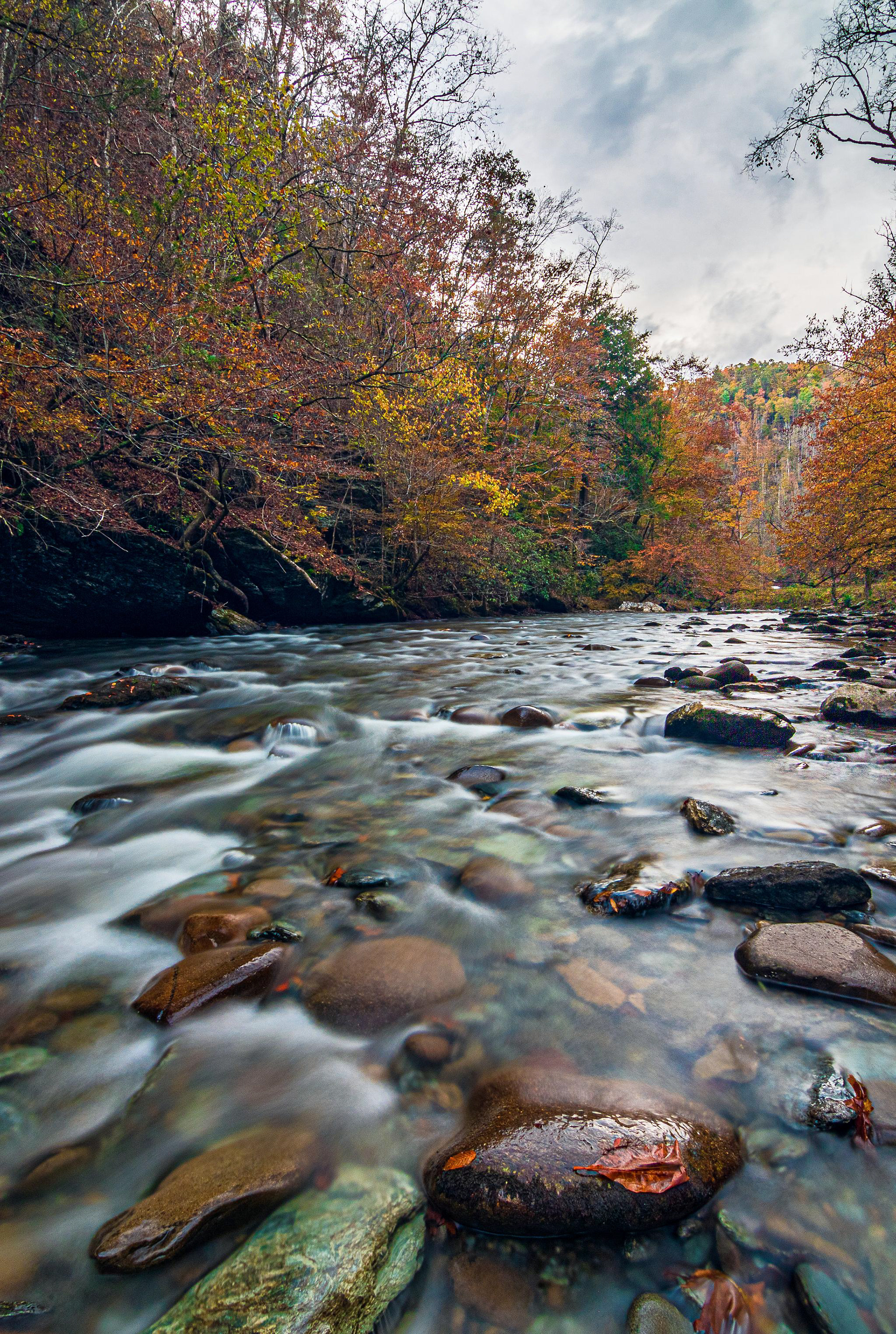 Smoky Mountain National Park - ﻿Tennessee, USA