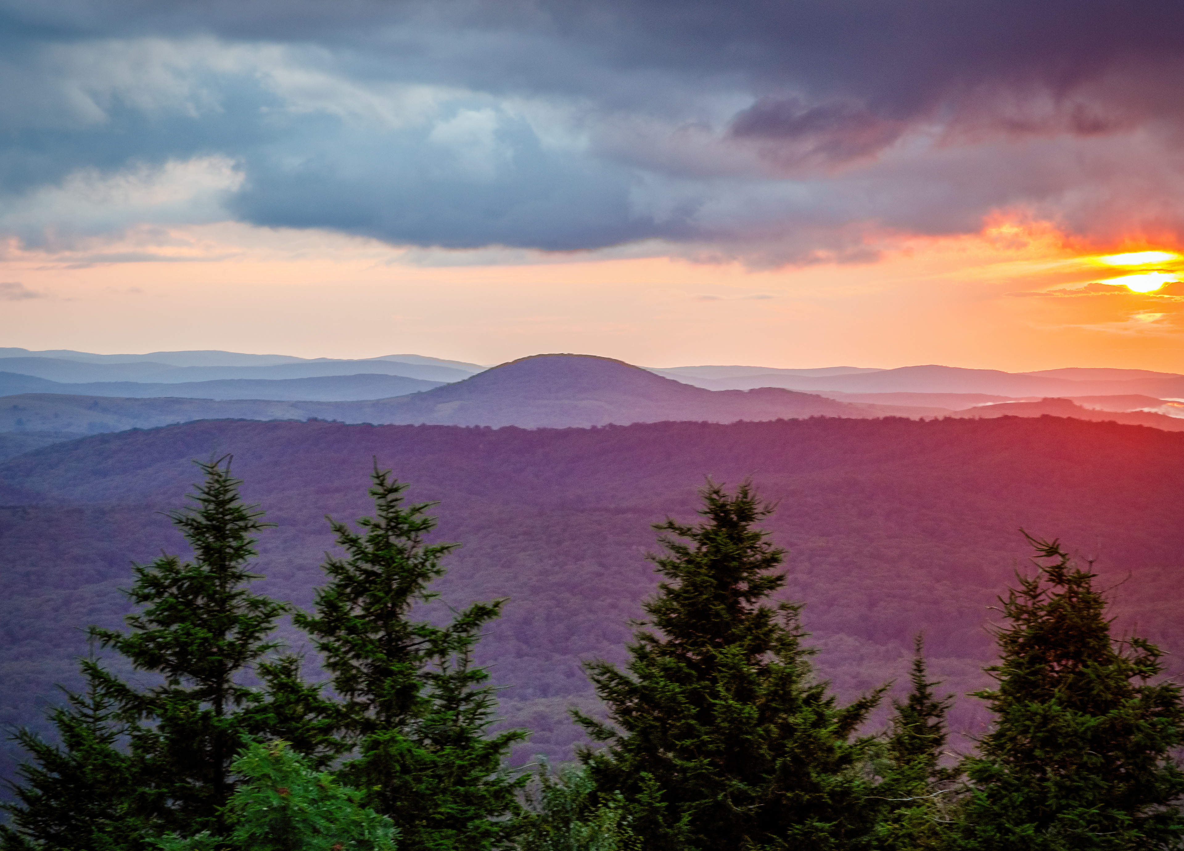 Colors Atop Spruce Knob, West Virginia, USA