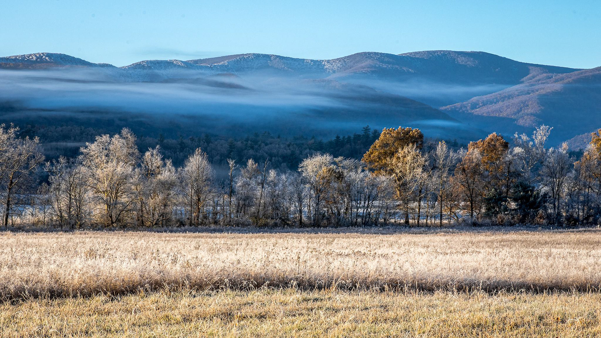 Cades Cove:  Smoky Mountain National Park - ﻿Tennessee, USA