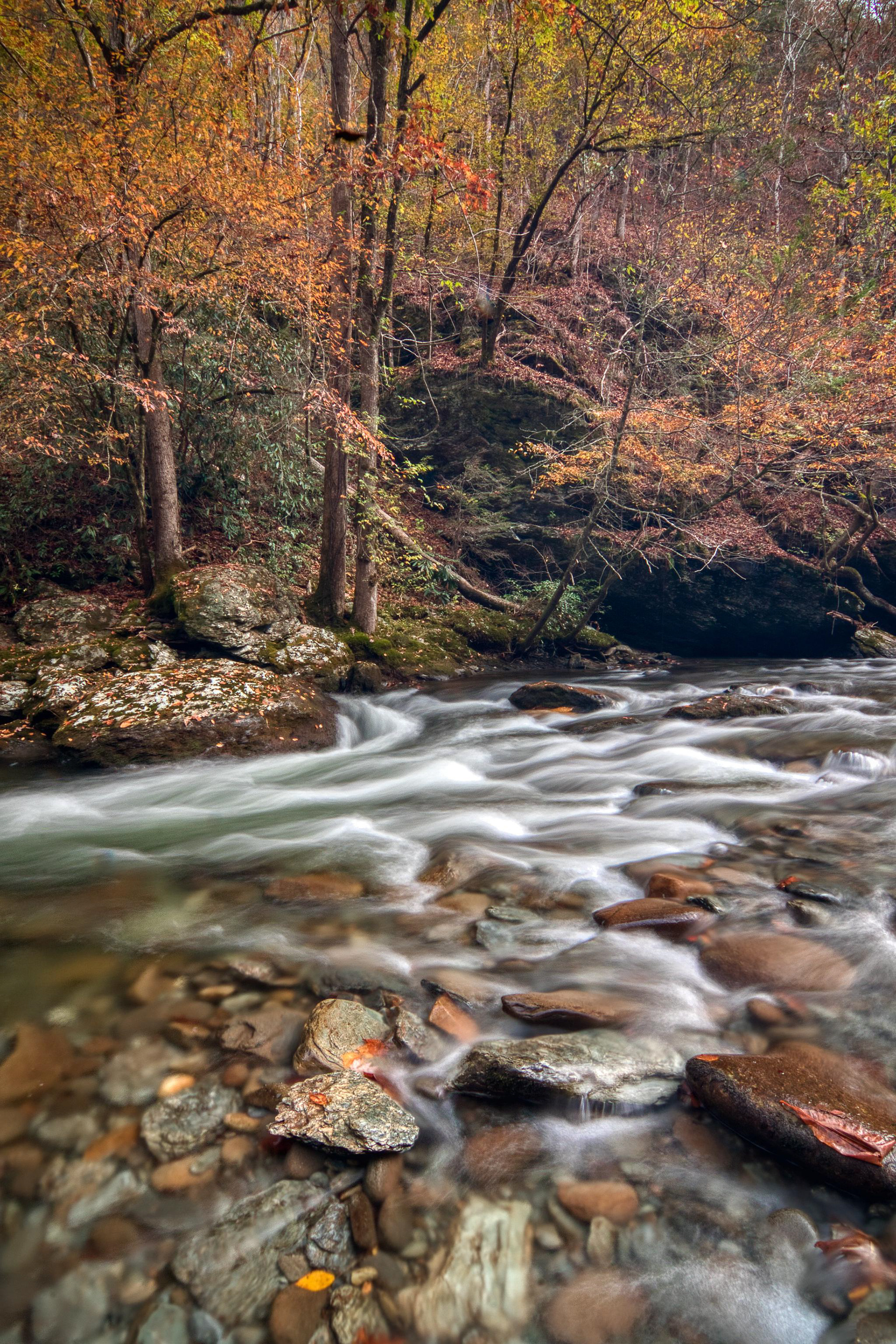 Smoky Mountain National Park - ﻿Tennessee, USA