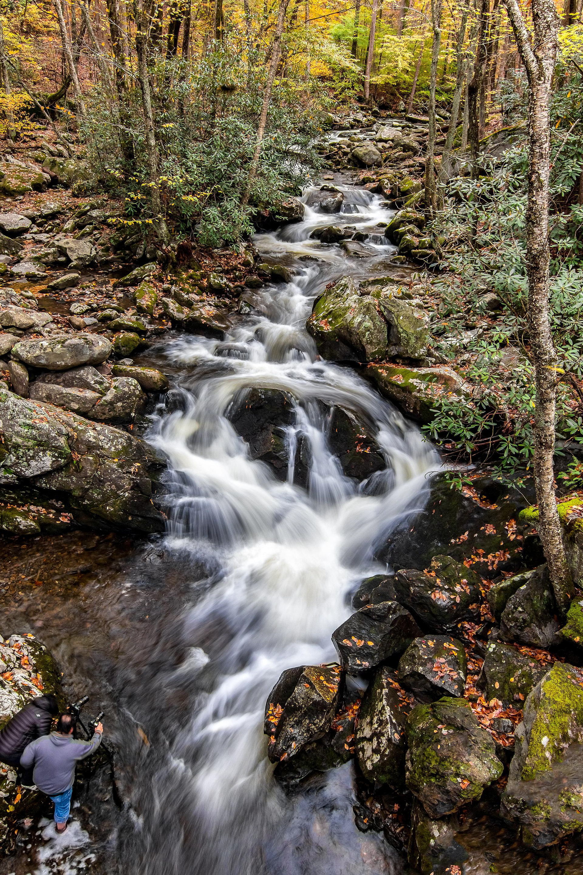 Smoky Mountain National Park - ﻿Tennessee, USA