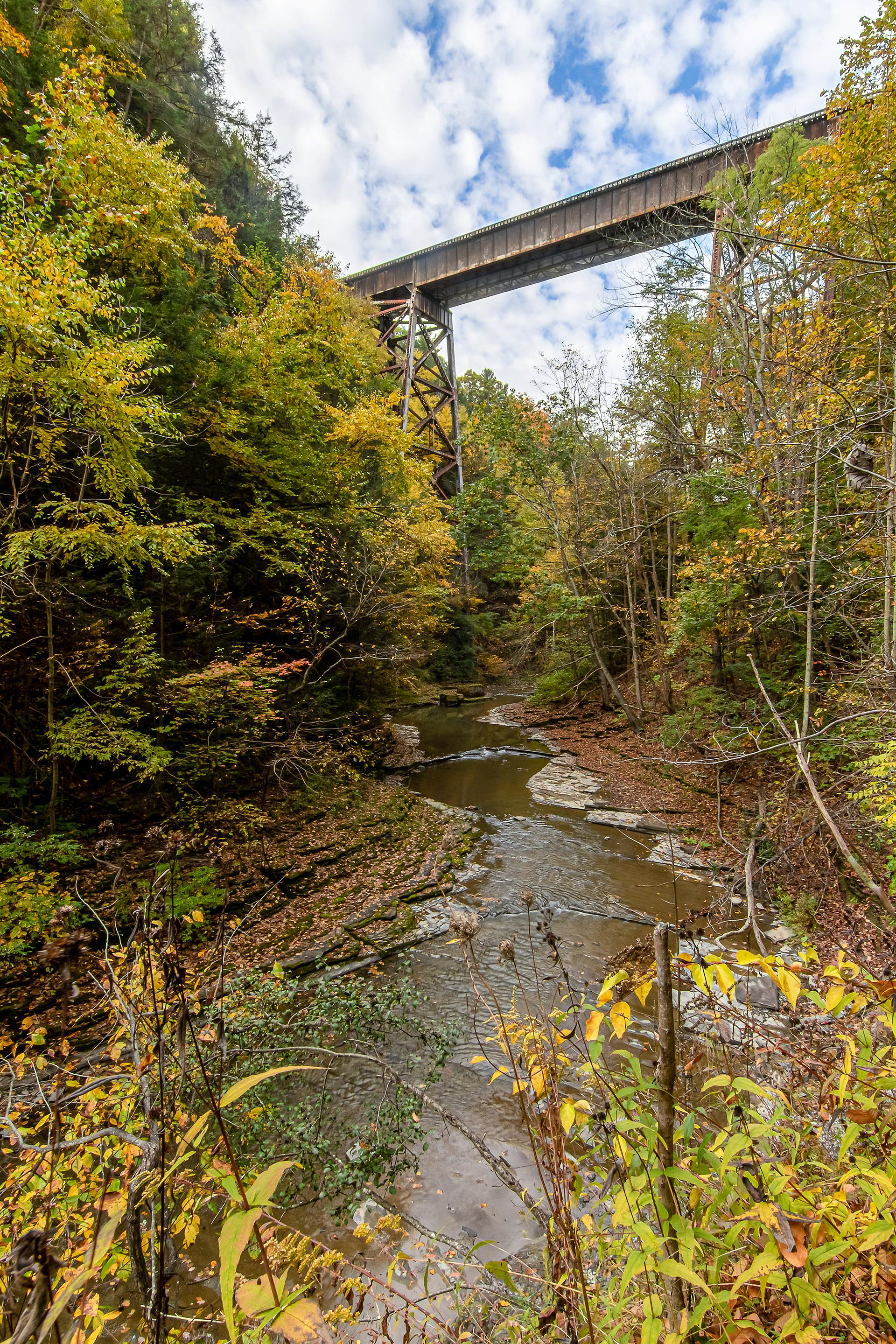 Watkins Glen - Finger Lakes Region, New York, USA