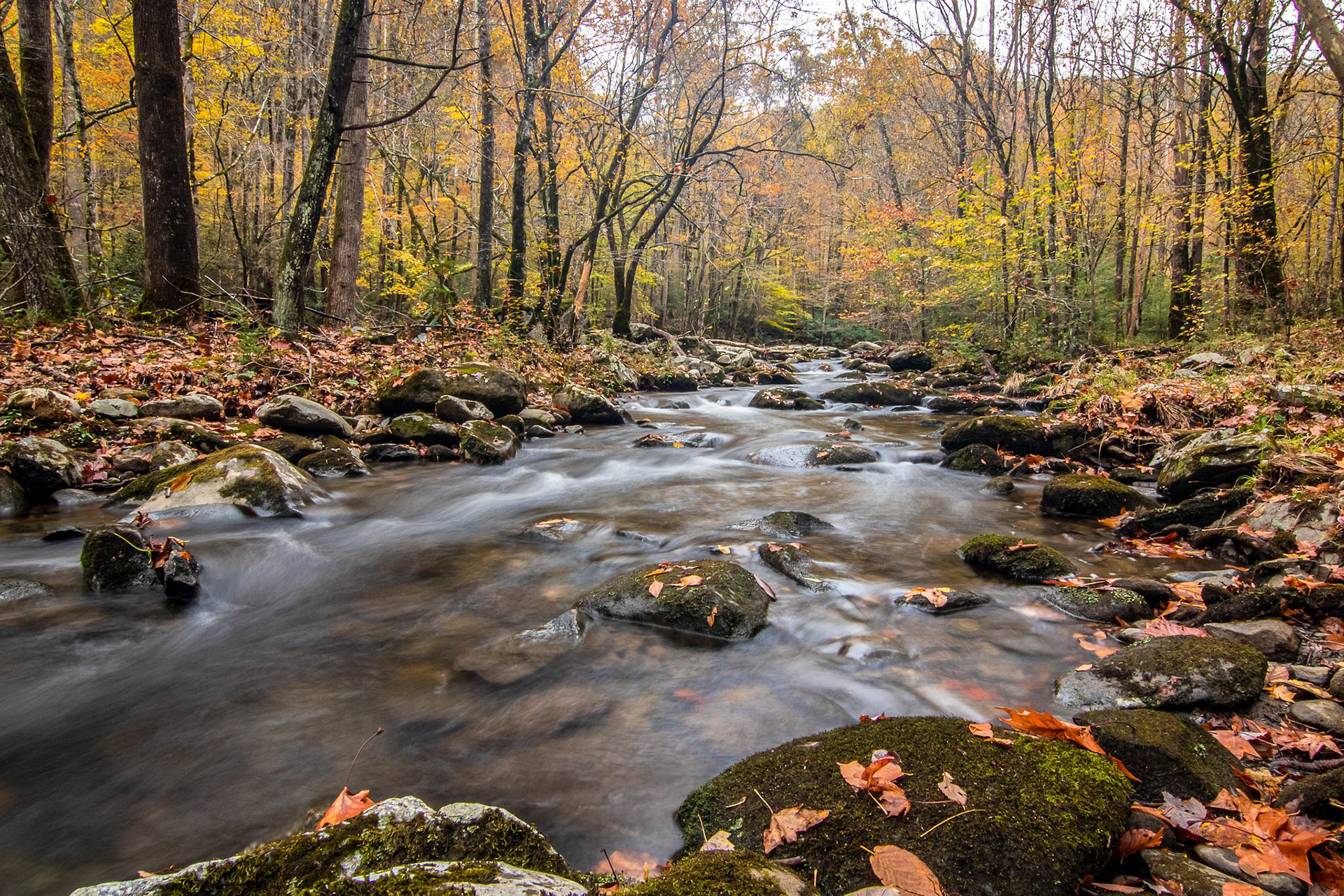 Smoky Mountain National Park - ﻿Tennessee, USA