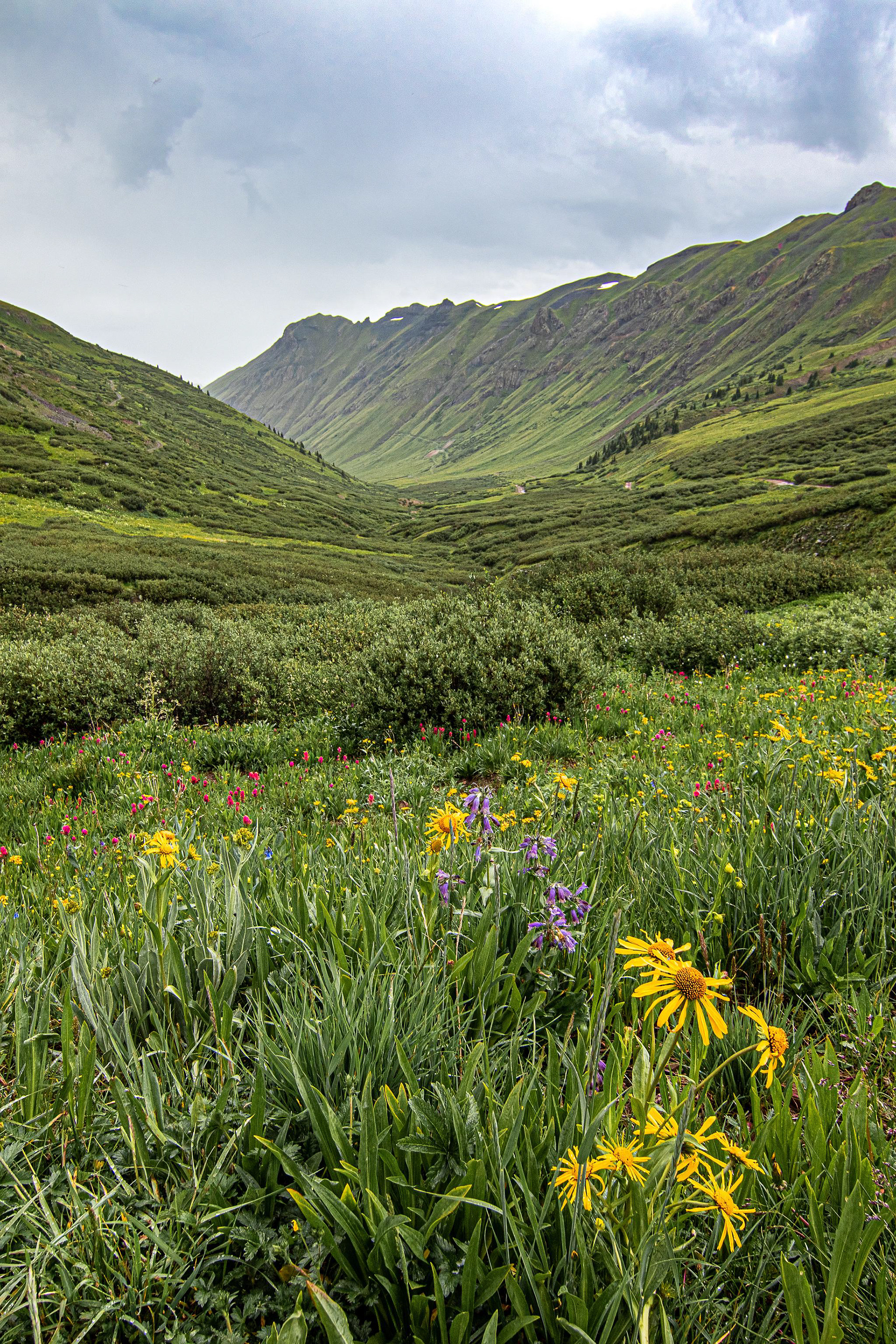 Rocky Mountains - ﻿Colorado, USA