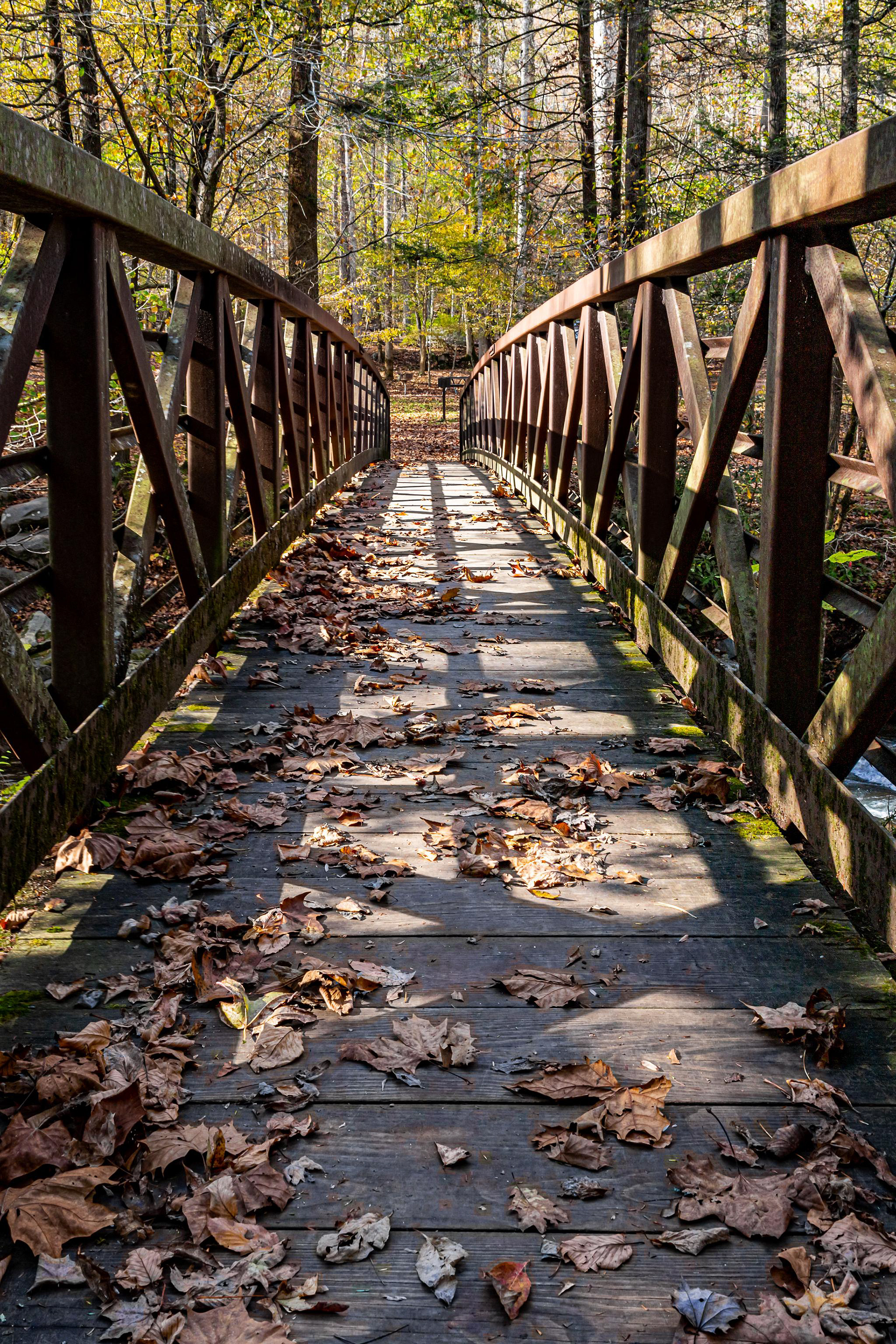 Smoky Mountain National Park ﻿- North Carolina, USA