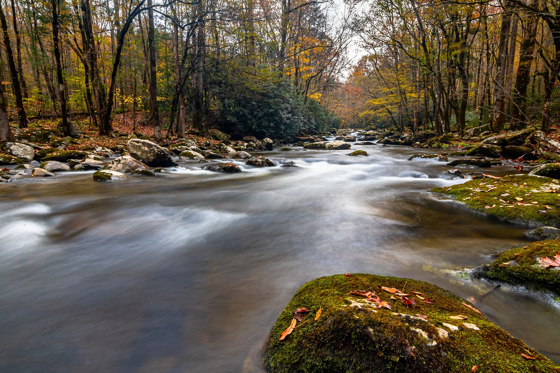 Smoky Mountain National Park - ﻿Tennessee, USA