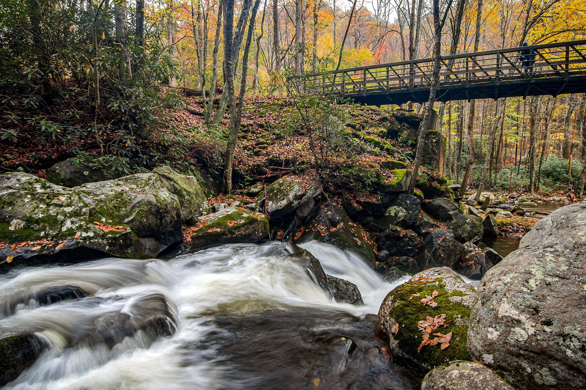 Smoky Mountain National Park - ﻿Tennessee, USA