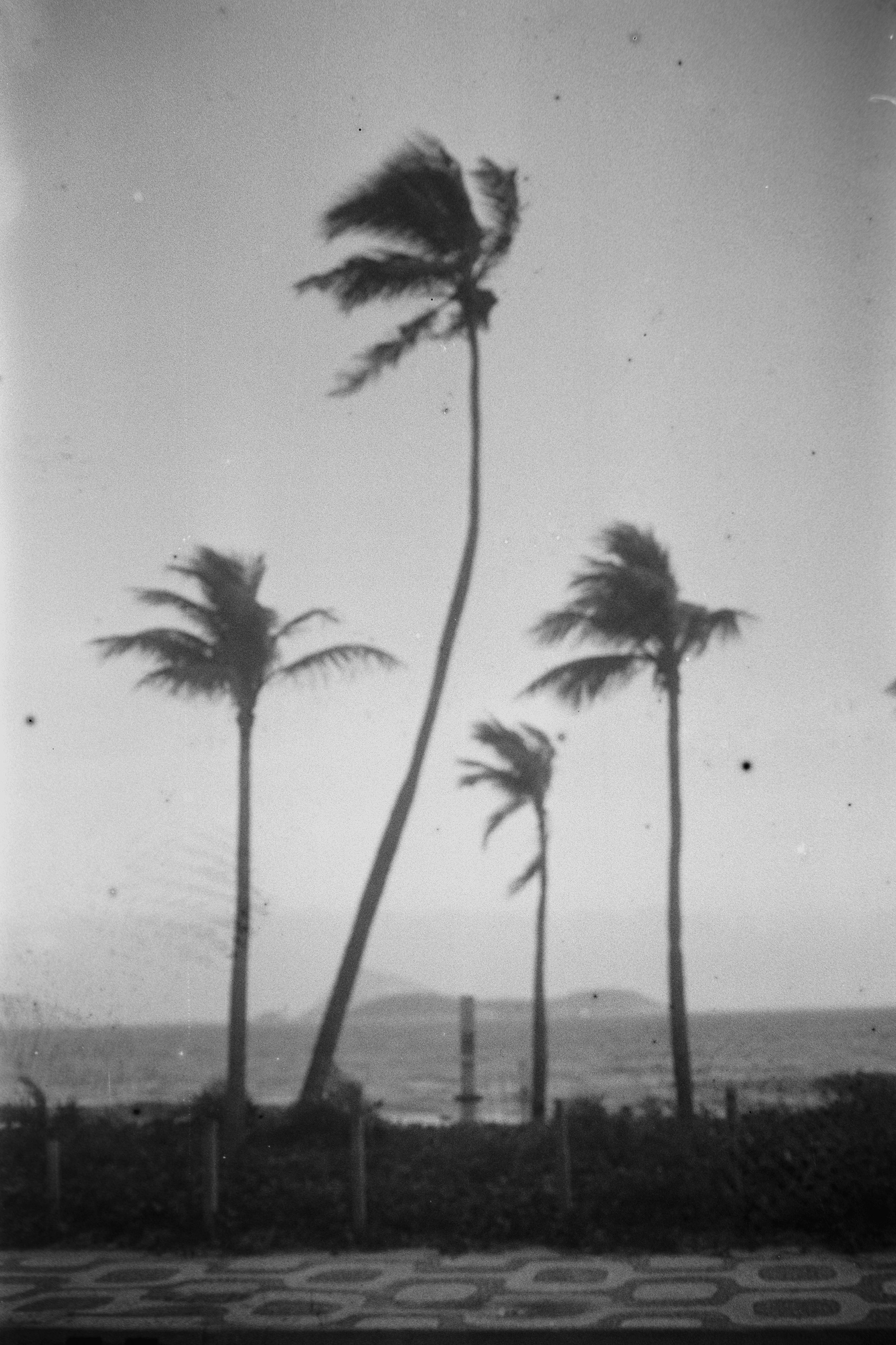 Ipanema