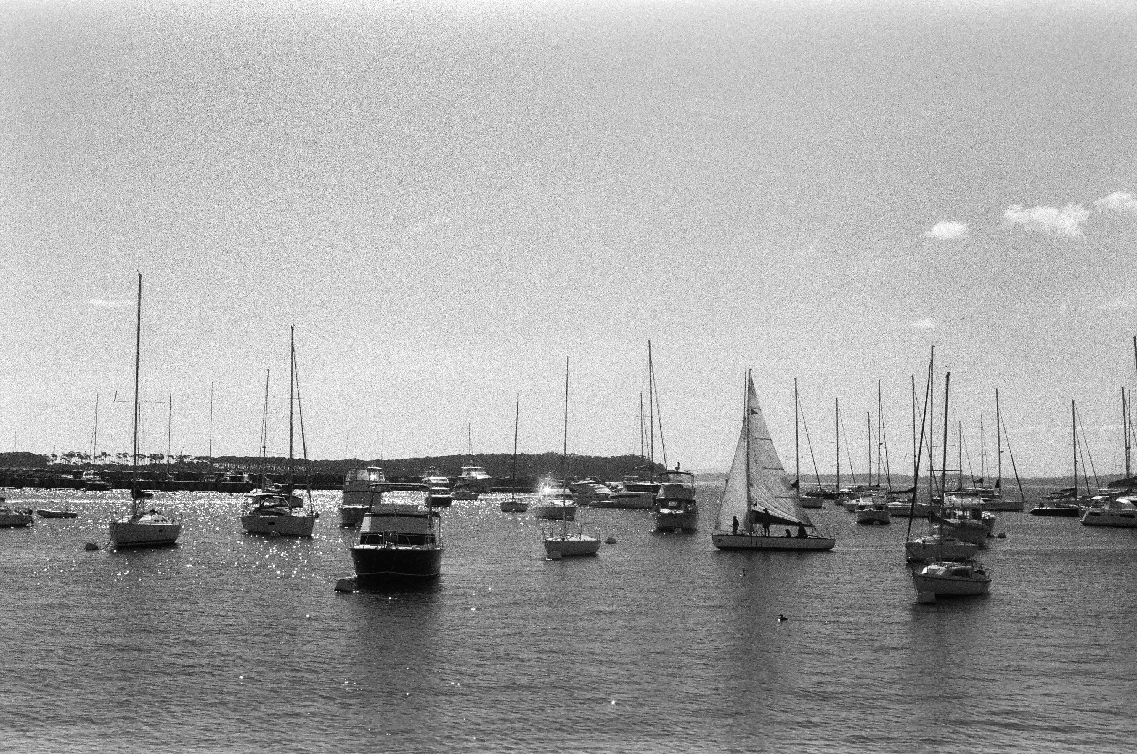 Punta del Este