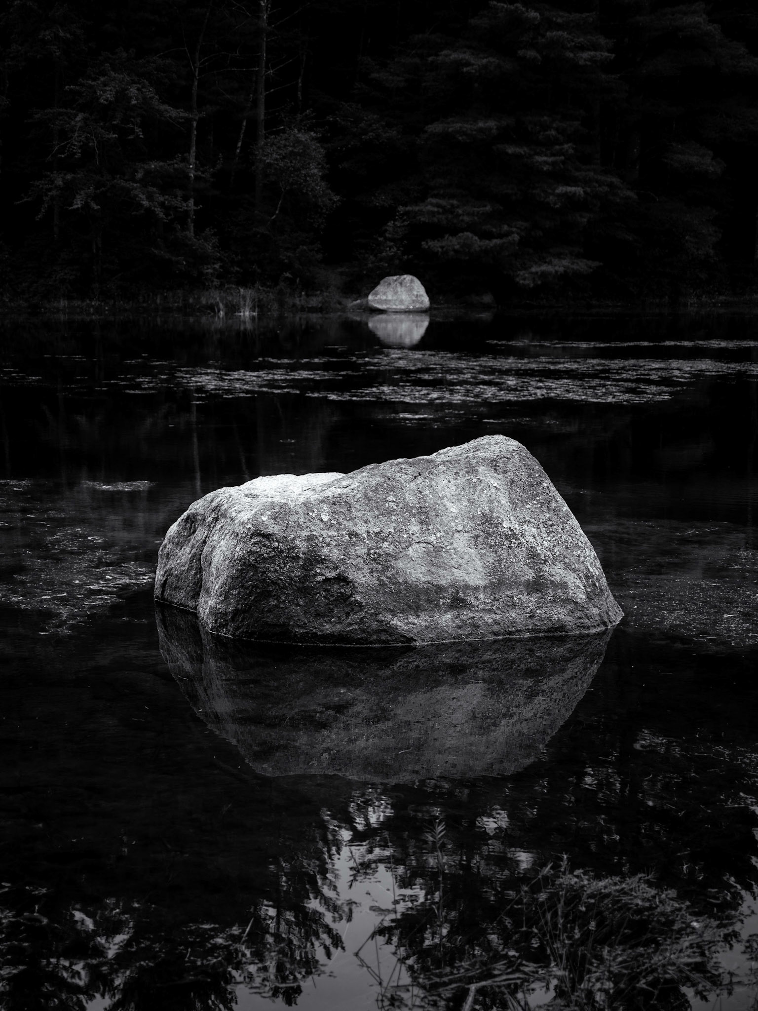 Pond Rocks