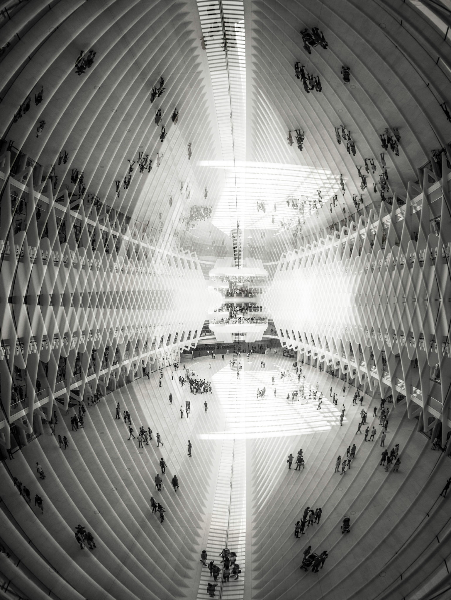 Double Oculus