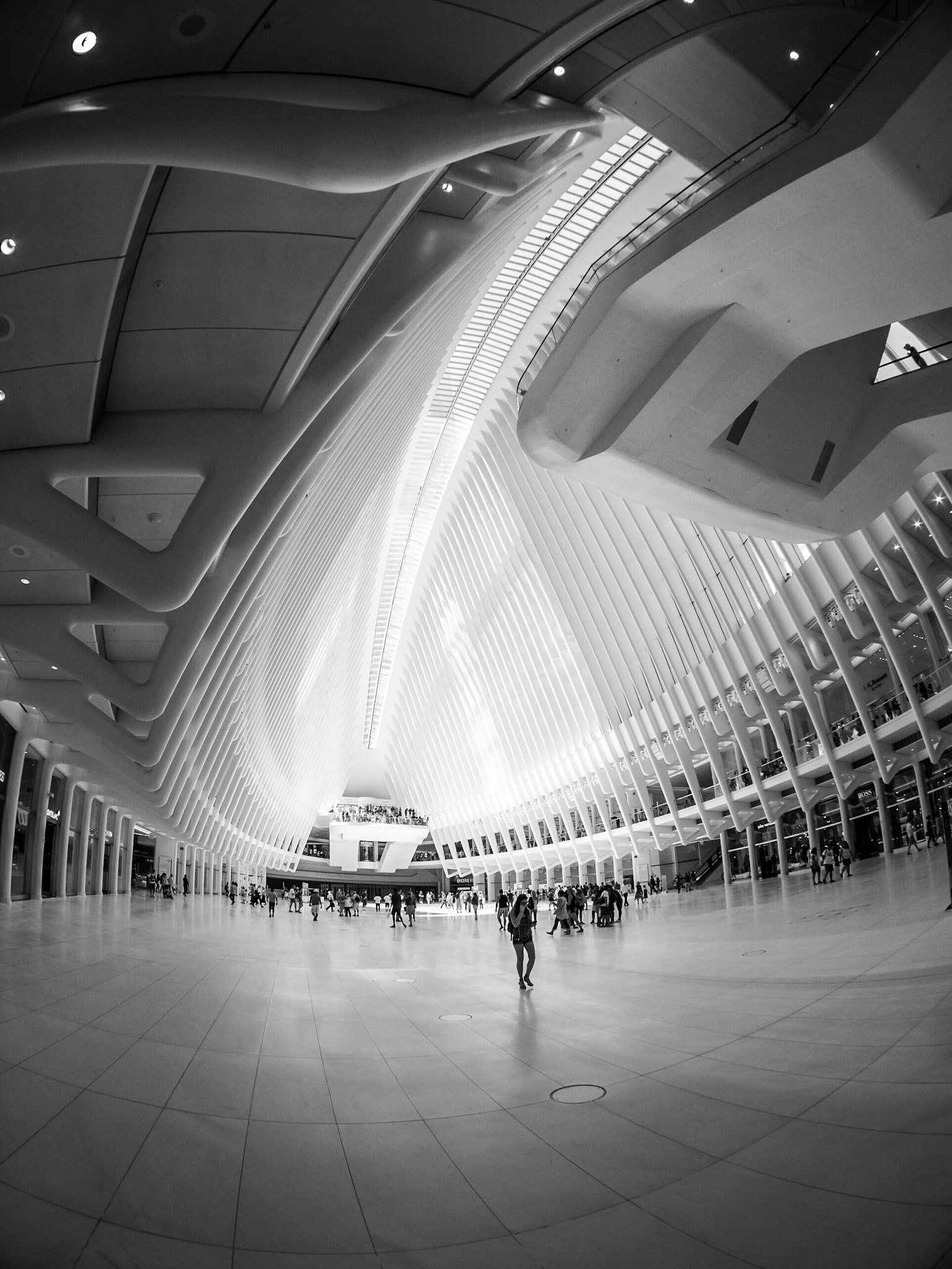 Concourse