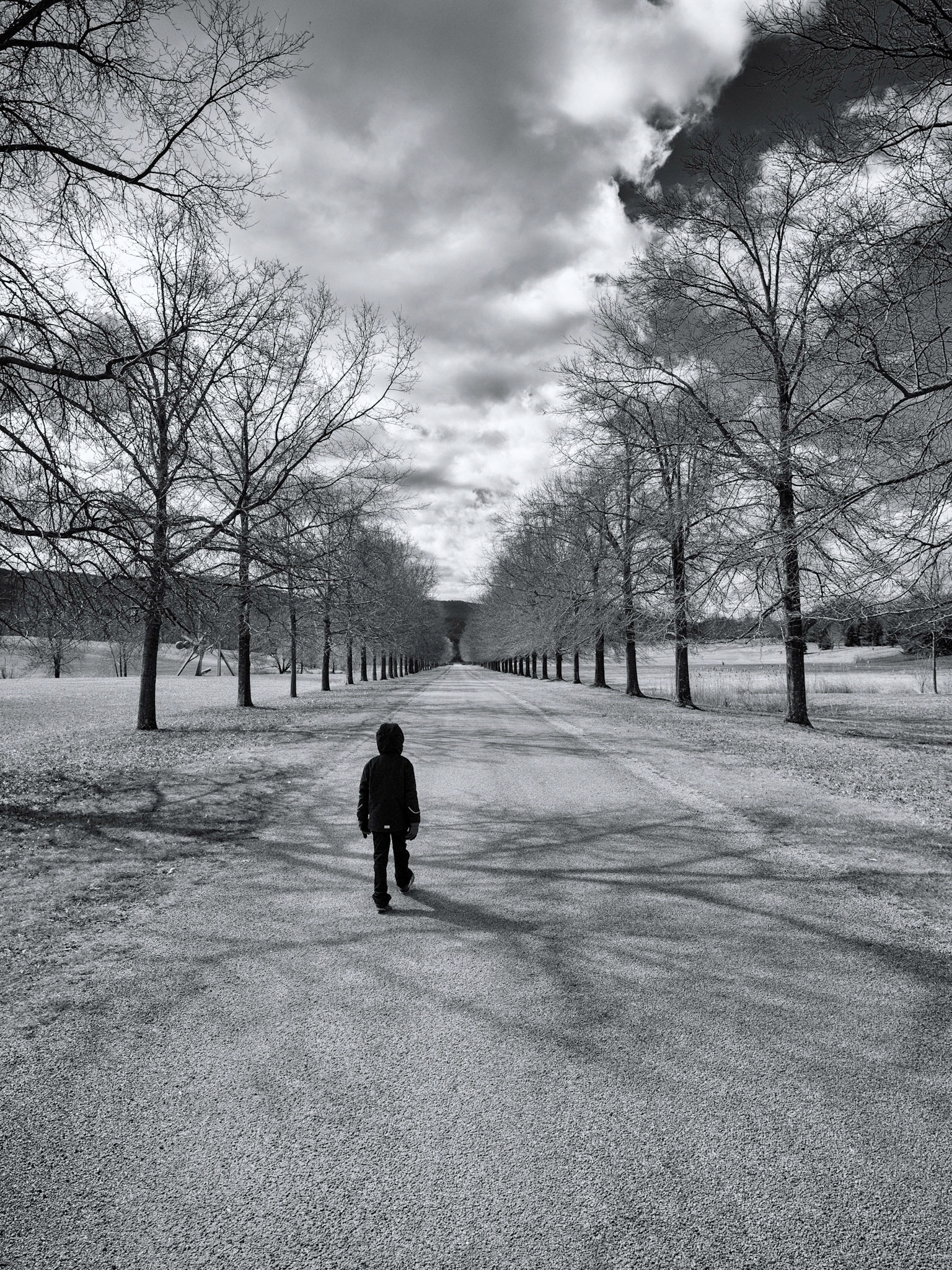 Vanishing Point