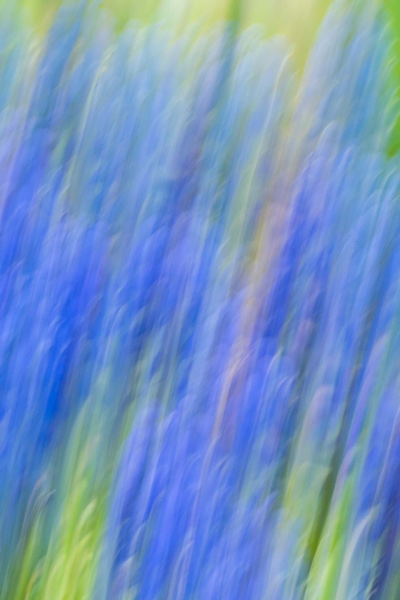 Abstract