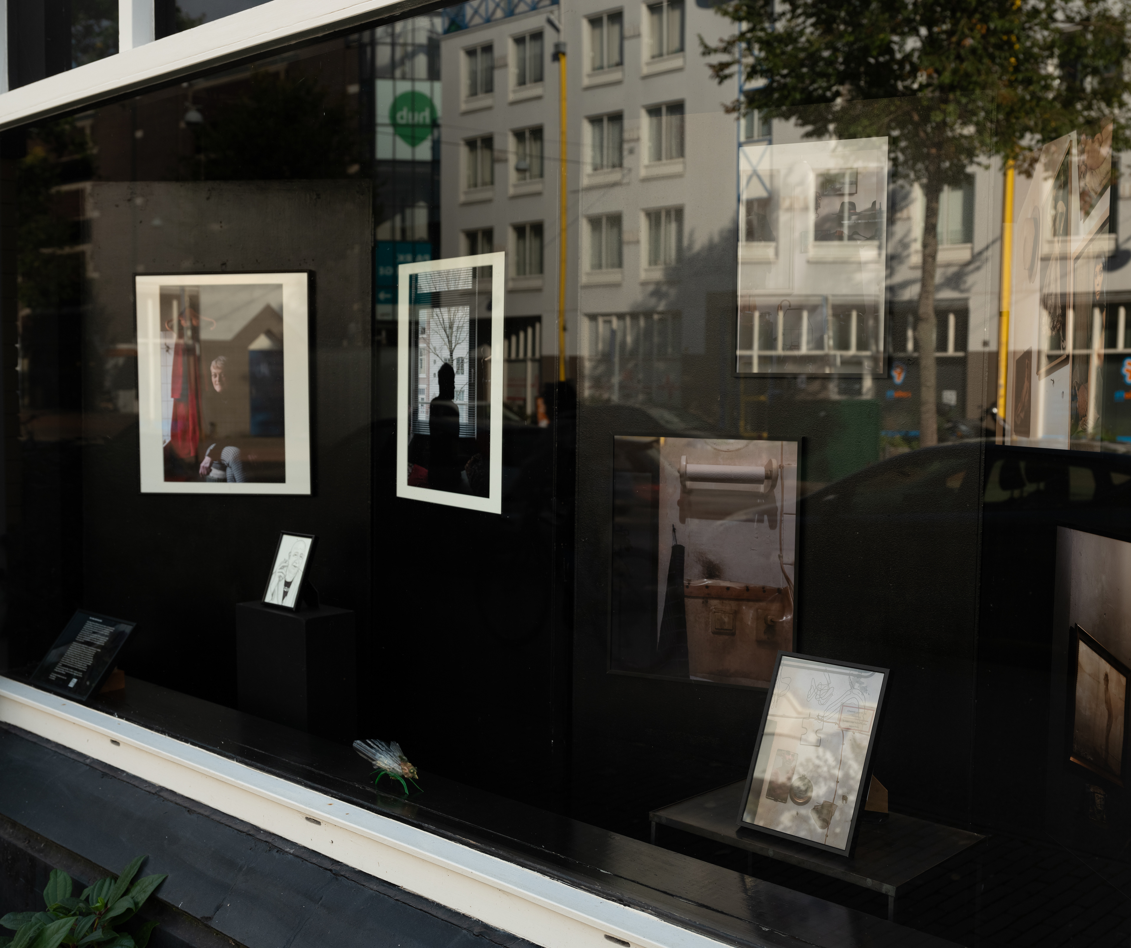 Expositie, 2024, oude galerie wijlen Frederick Linck