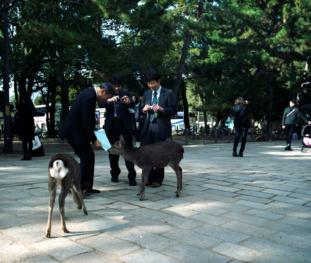 Japan