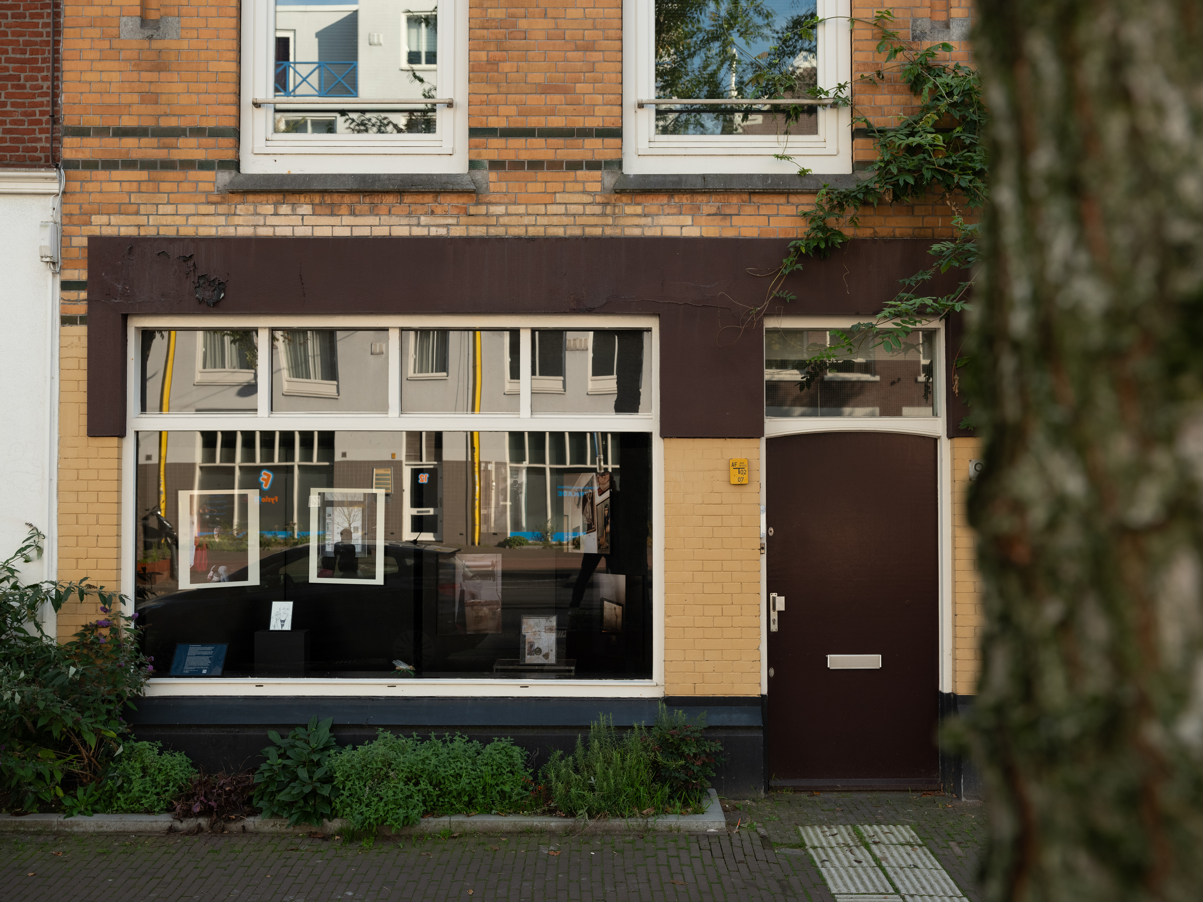 Expositie, 2024, oude galerie wijlen Frederick Linck